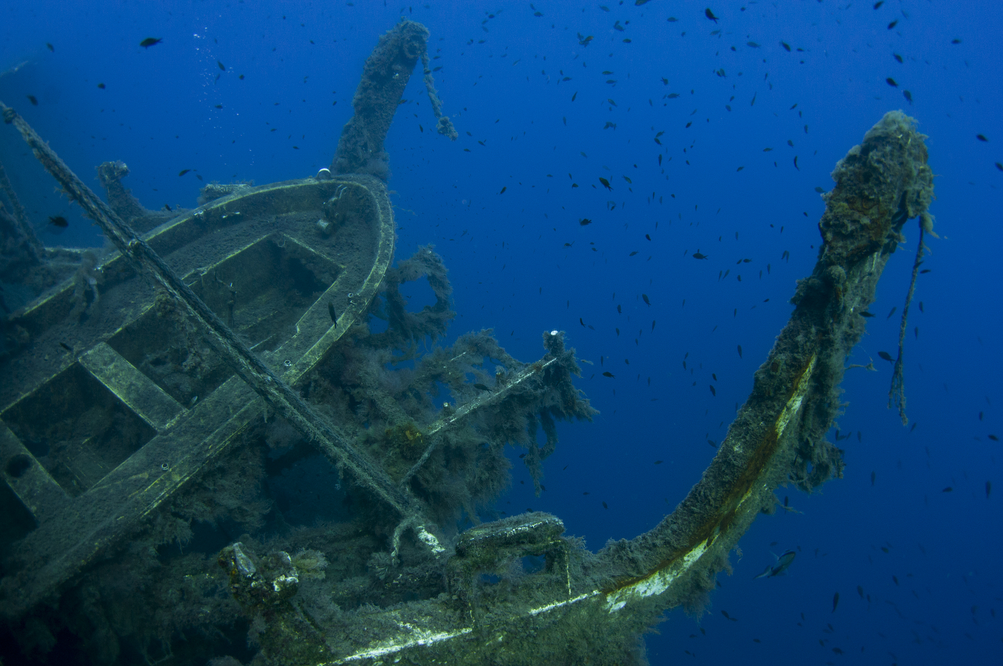 the ms zenobia shipwreck