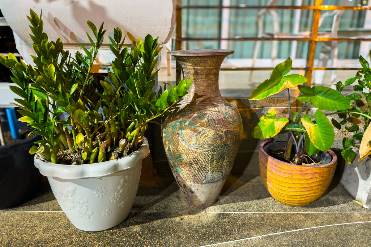 花瓶除了插花还能干什么，