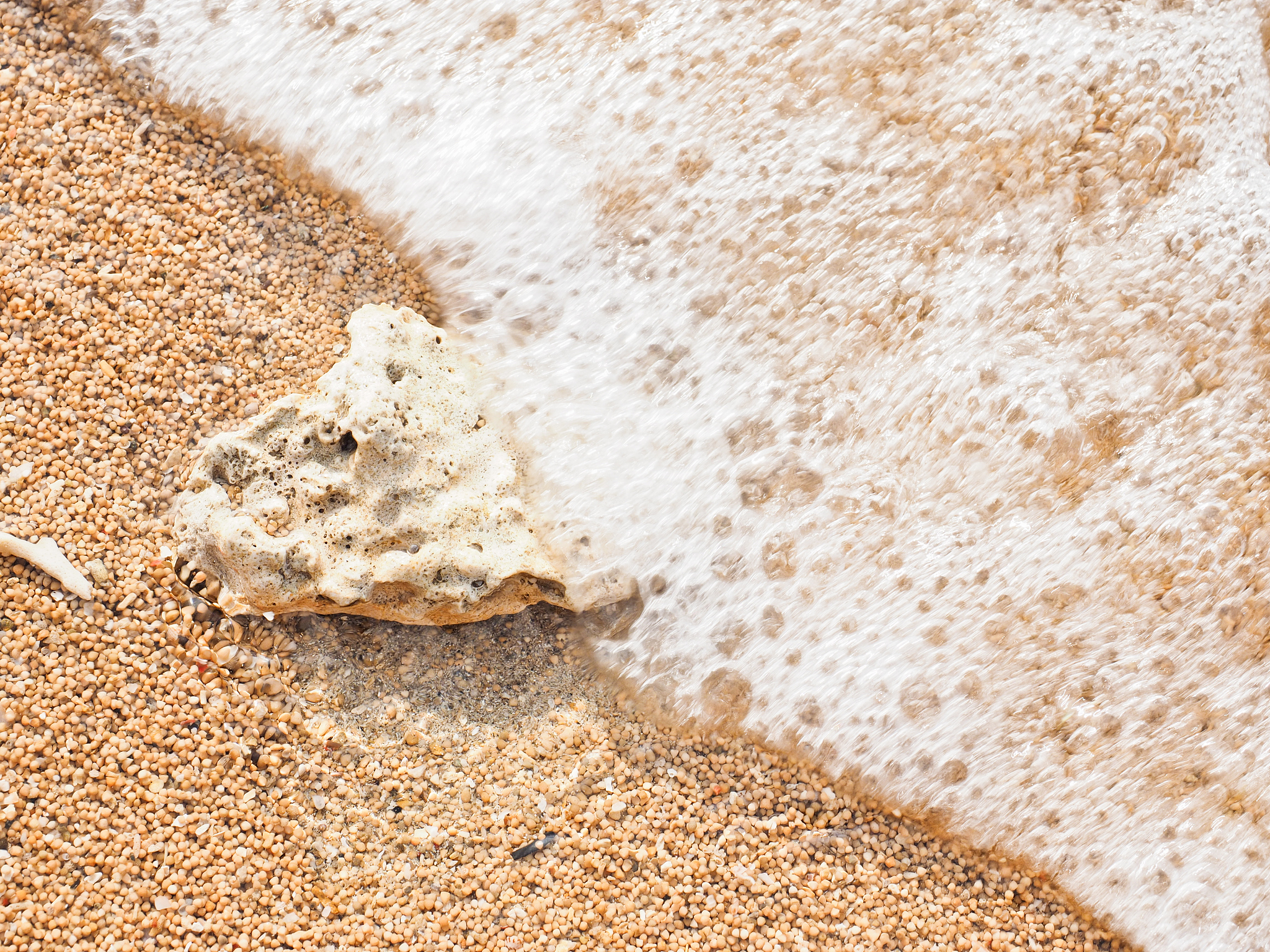 翻译成中文：In this way a cast was taken from a mould into which the bag was shaken with water in excess till it took the form of the mould; the excess of water was then drawn off and the mould removed leav