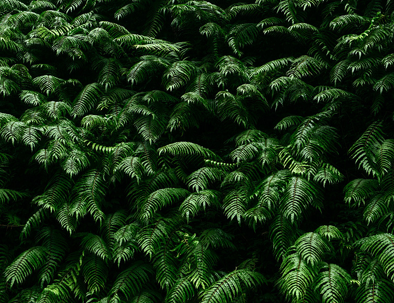 广西2022年中专学校就业排行榜及就业前景分析