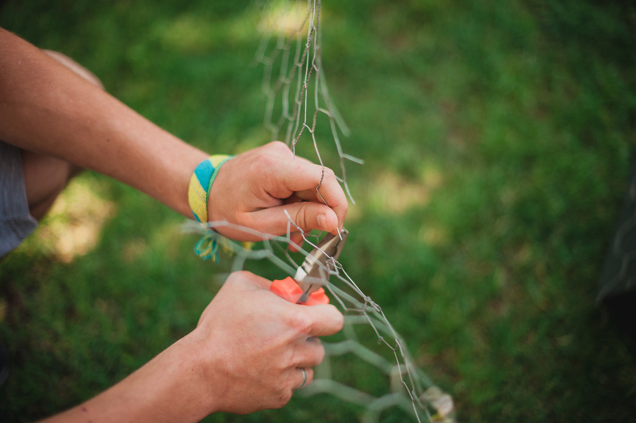 铁线虫的秘密：看似柔软却拥有强大的肌肉