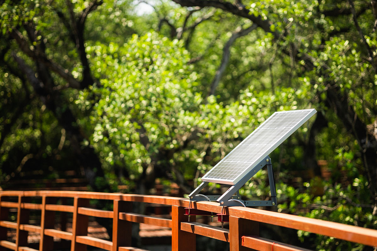 APPLIED CATALYSIS B-ENVIRONMENTAL是一个怎样的期刊