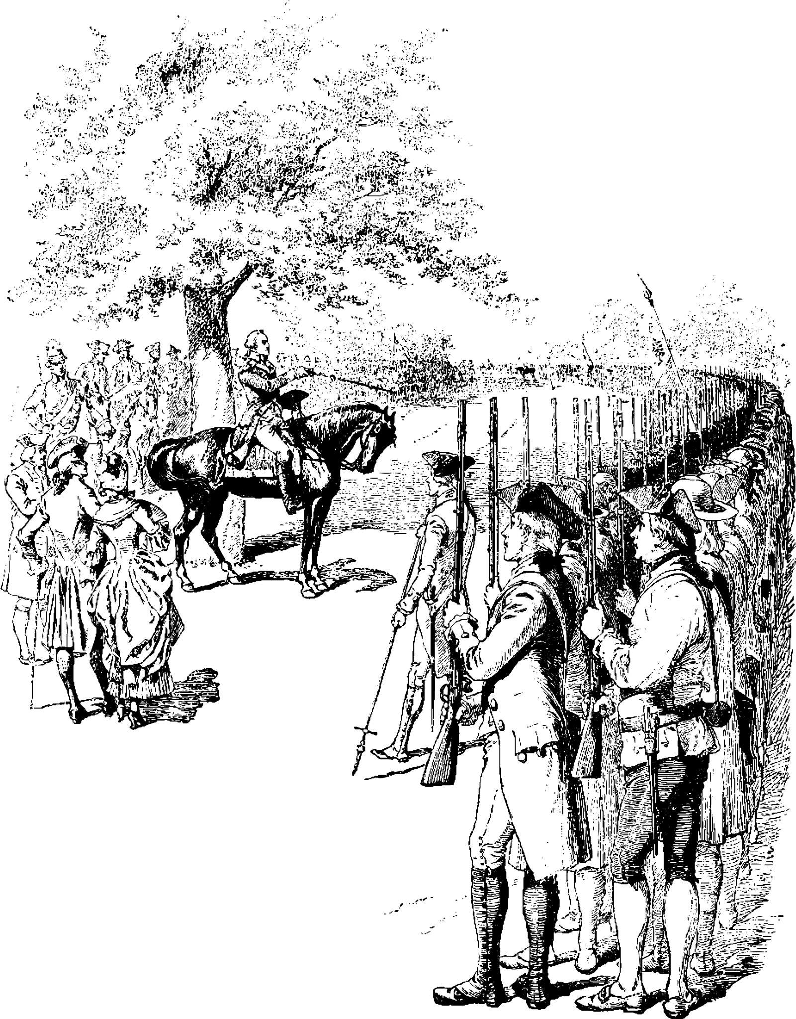 历史是一群苗：五卷本系列带你穿越中华文明