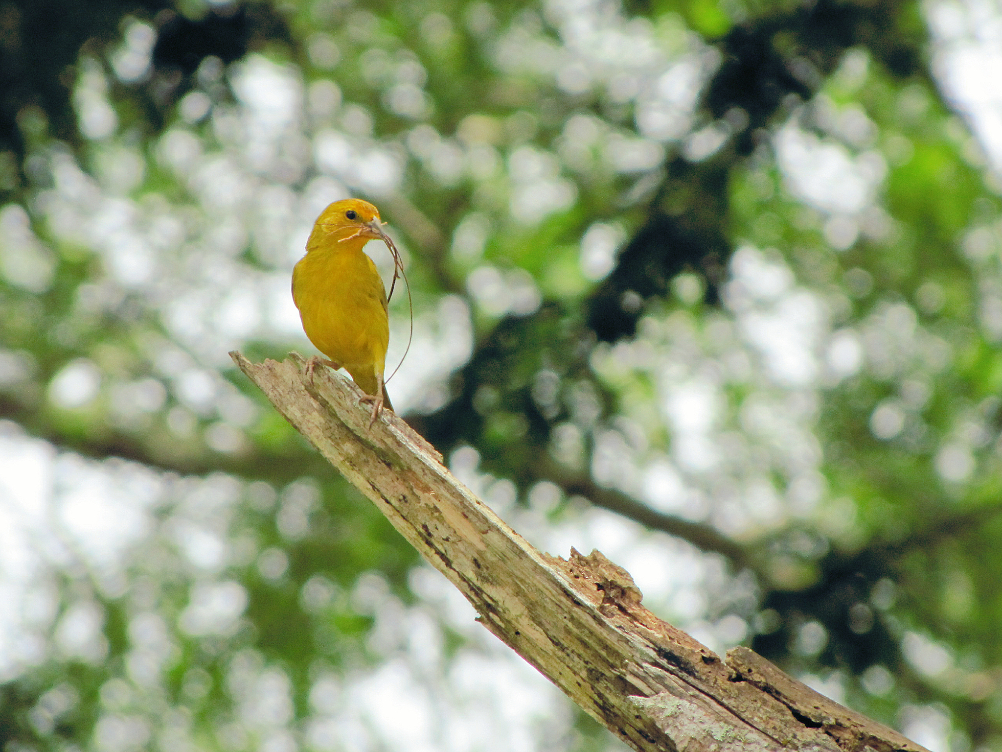 distância até a lua