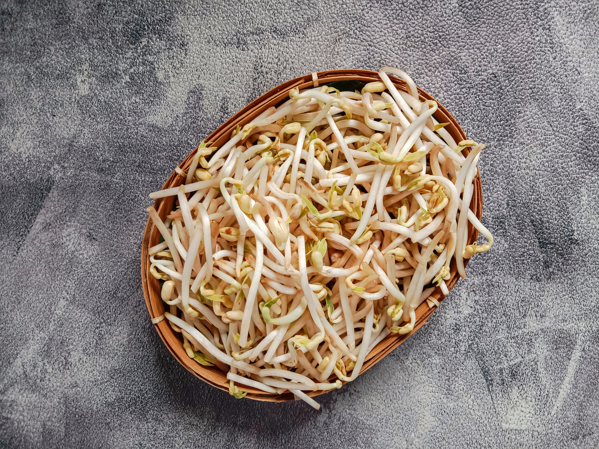 豆芽烂掉的原因：水质、温度、时间、容器，教你轻松发芽！