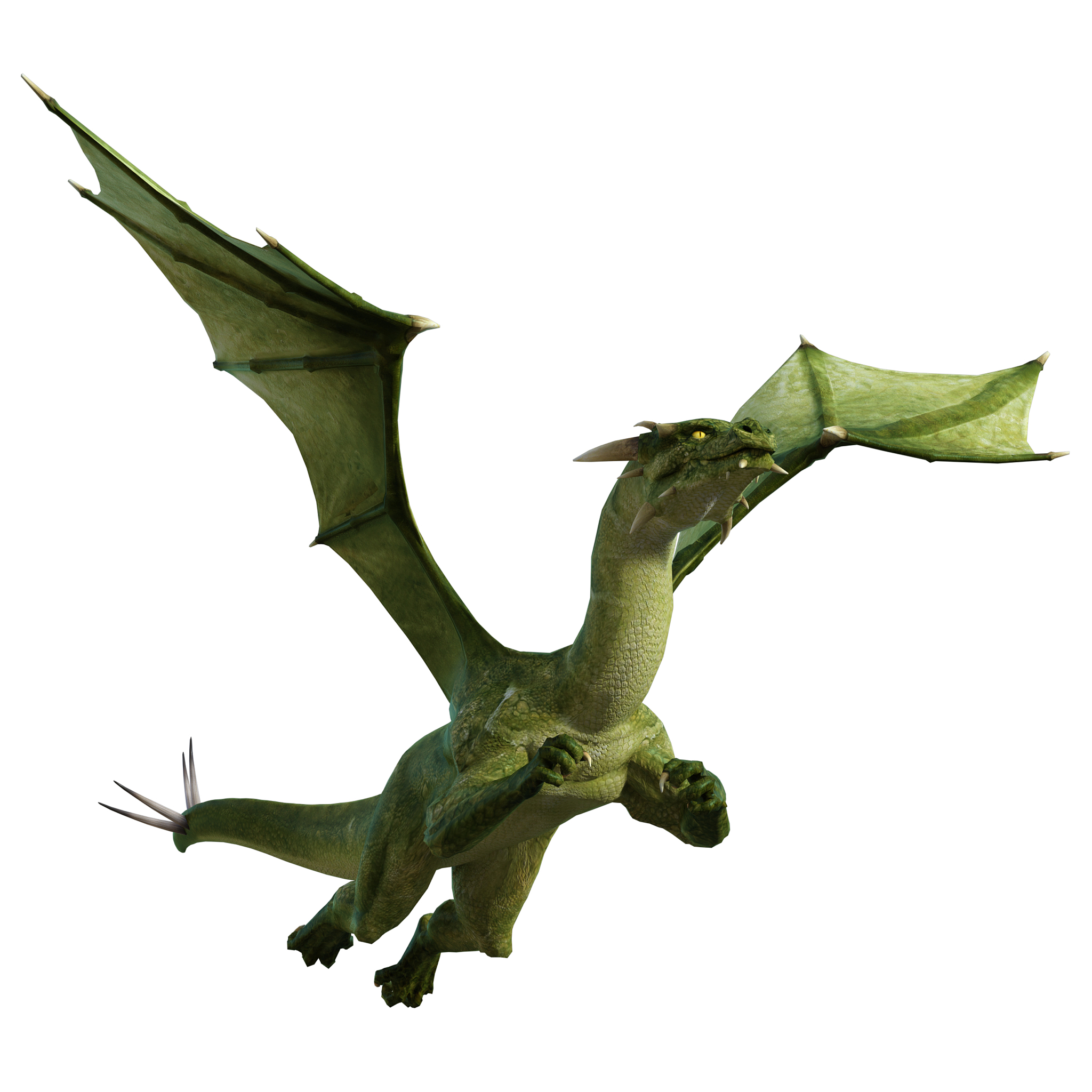 dragon isolated on white, 3d render.
