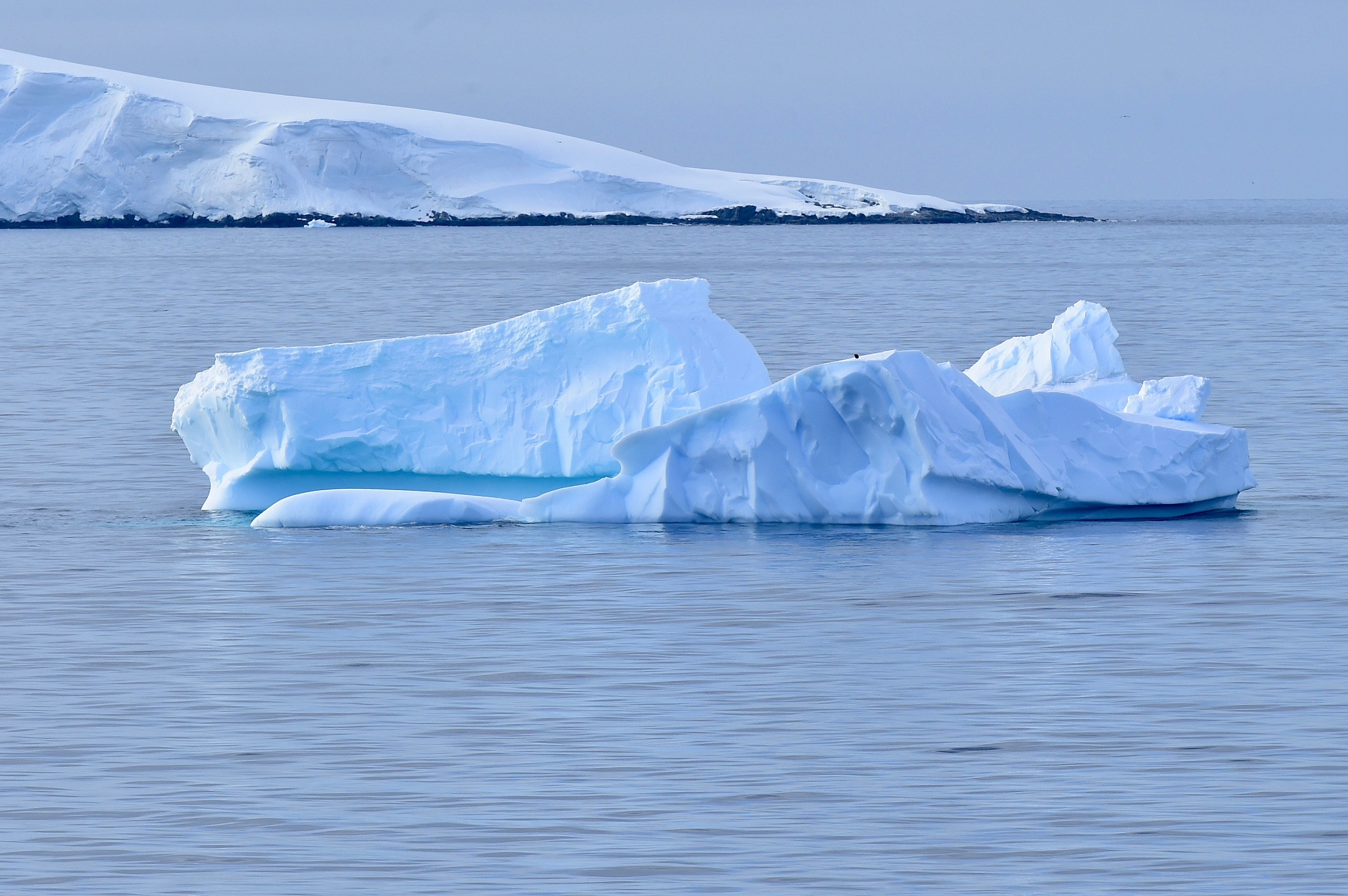 antarctica
