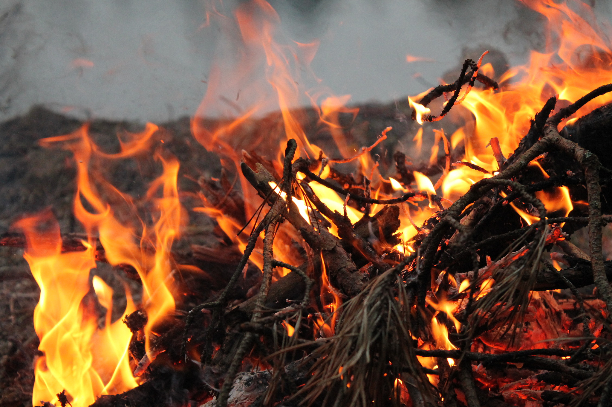 INTERNATIONAL JOURNAL OF WILDLAND FIRE期刊：研究范围及影响