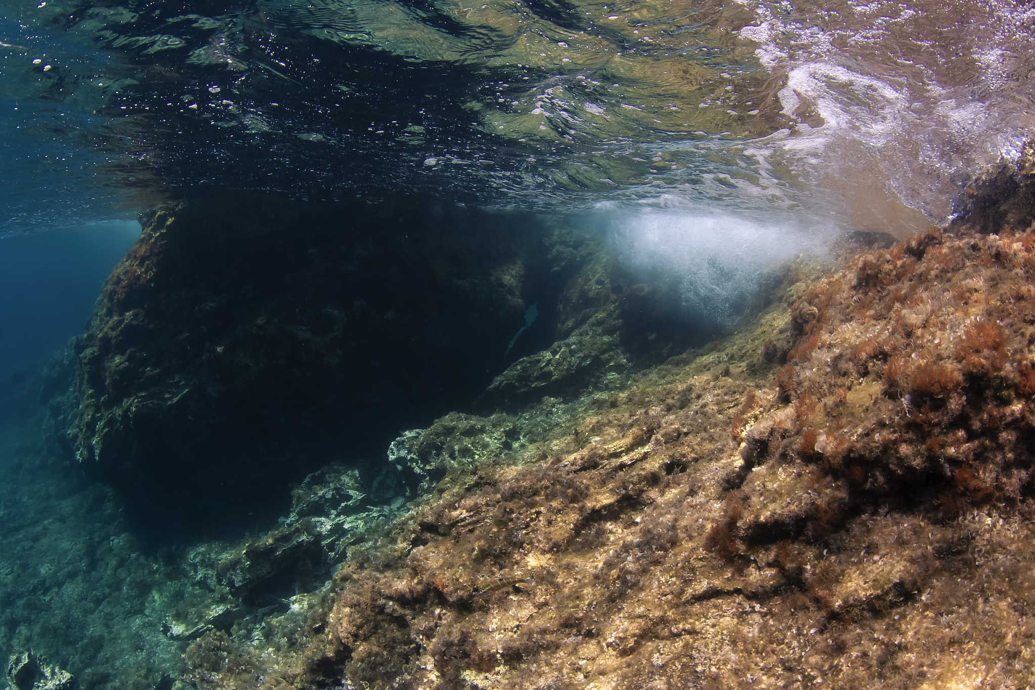 underwater scene showing rock formations in the mediterranean se