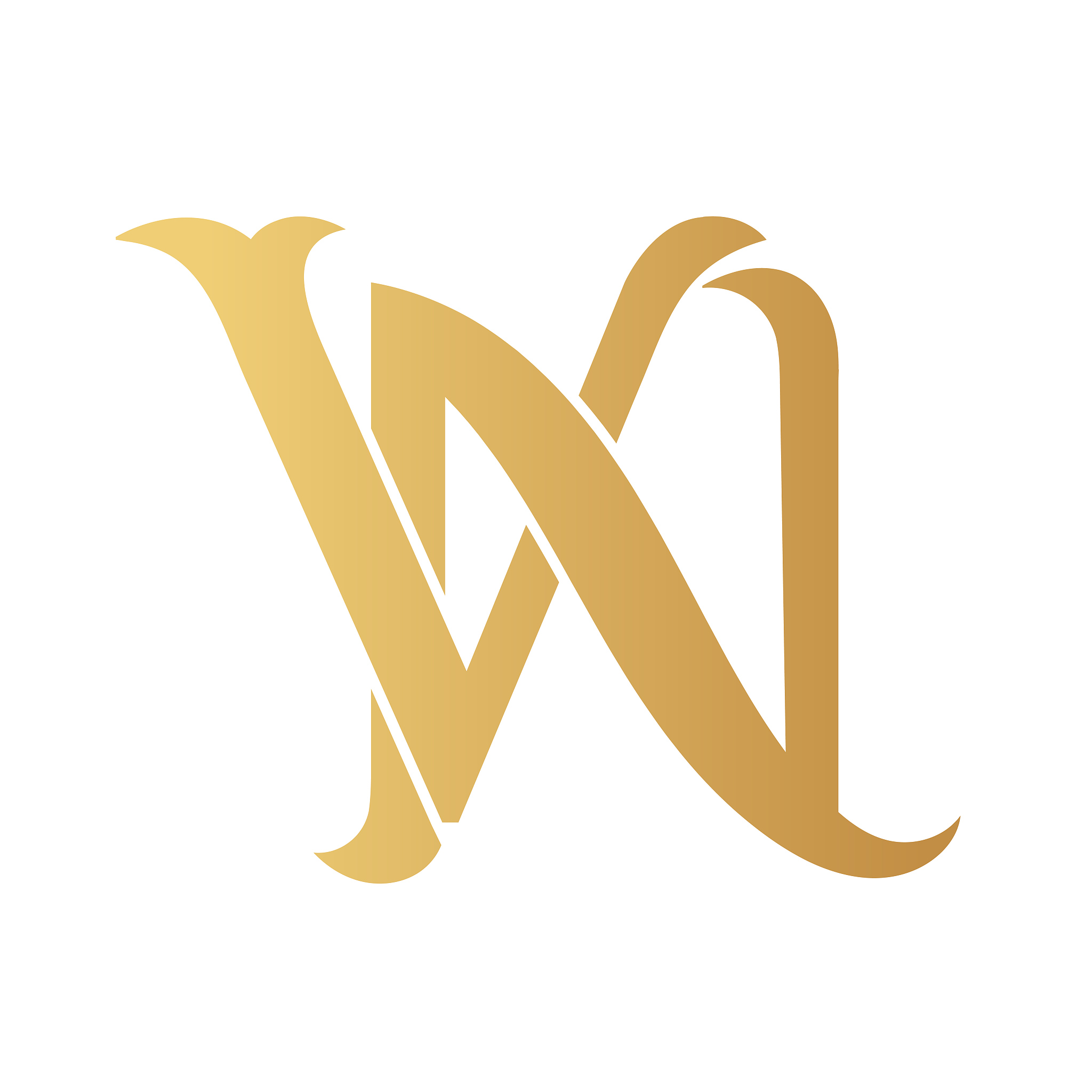golden vn monogram isolated in white.