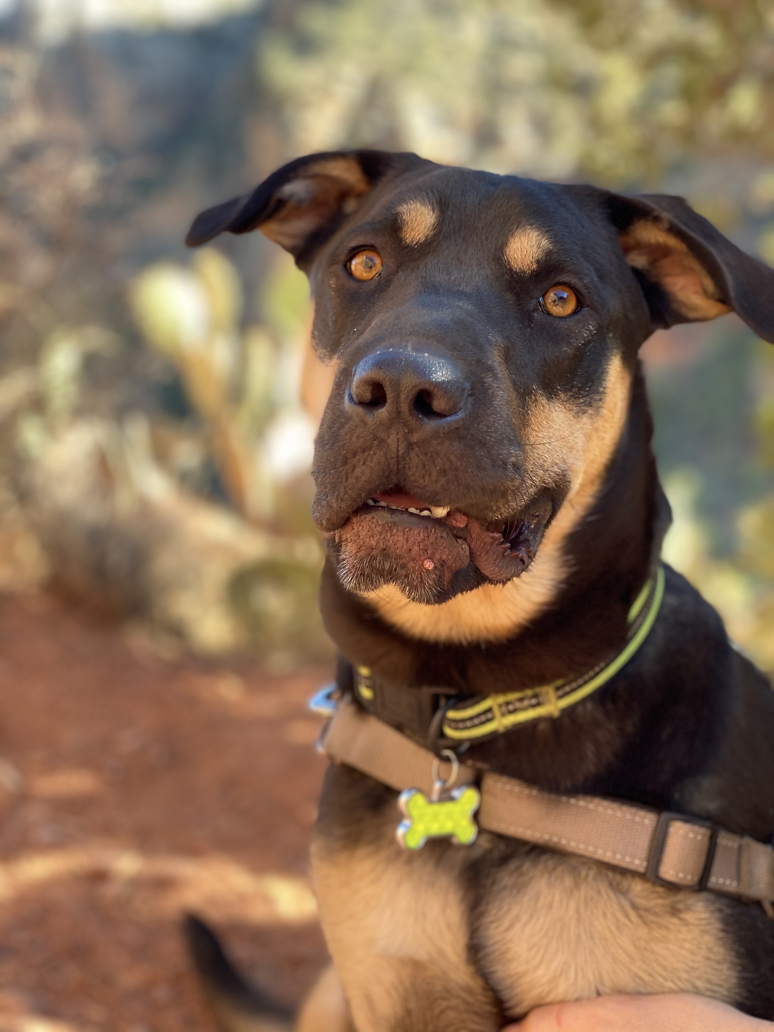 从网上搜罗9条当代人写的人间清醒的语录并用古人或名人举例说明每条语录