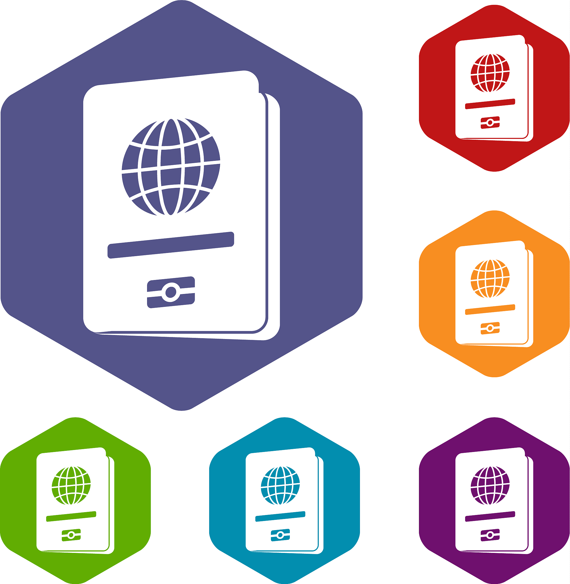 passport icons set