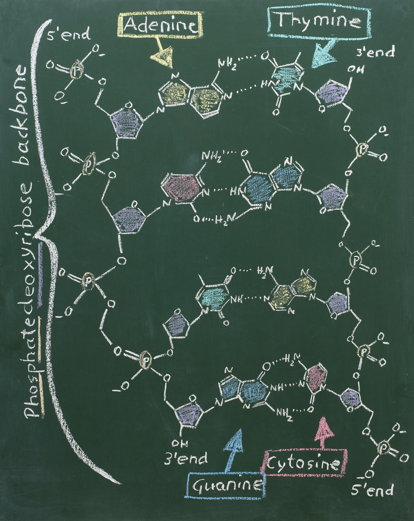 Lattice Oxygen Mechanism (LOM) in Oxygen Evolution Reaction (OER): A Comprehensive Review