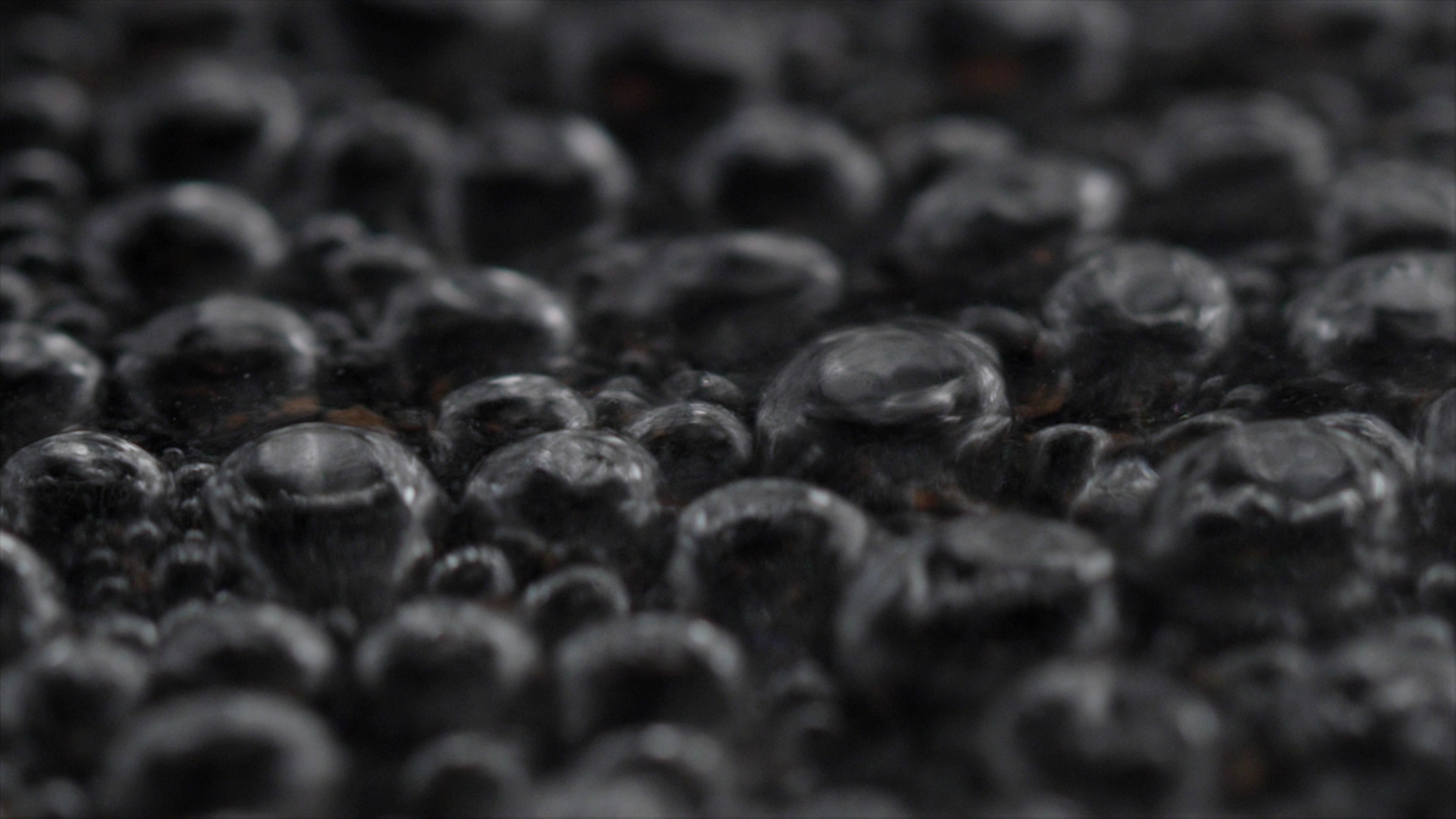 小学三年级演讲稿500字