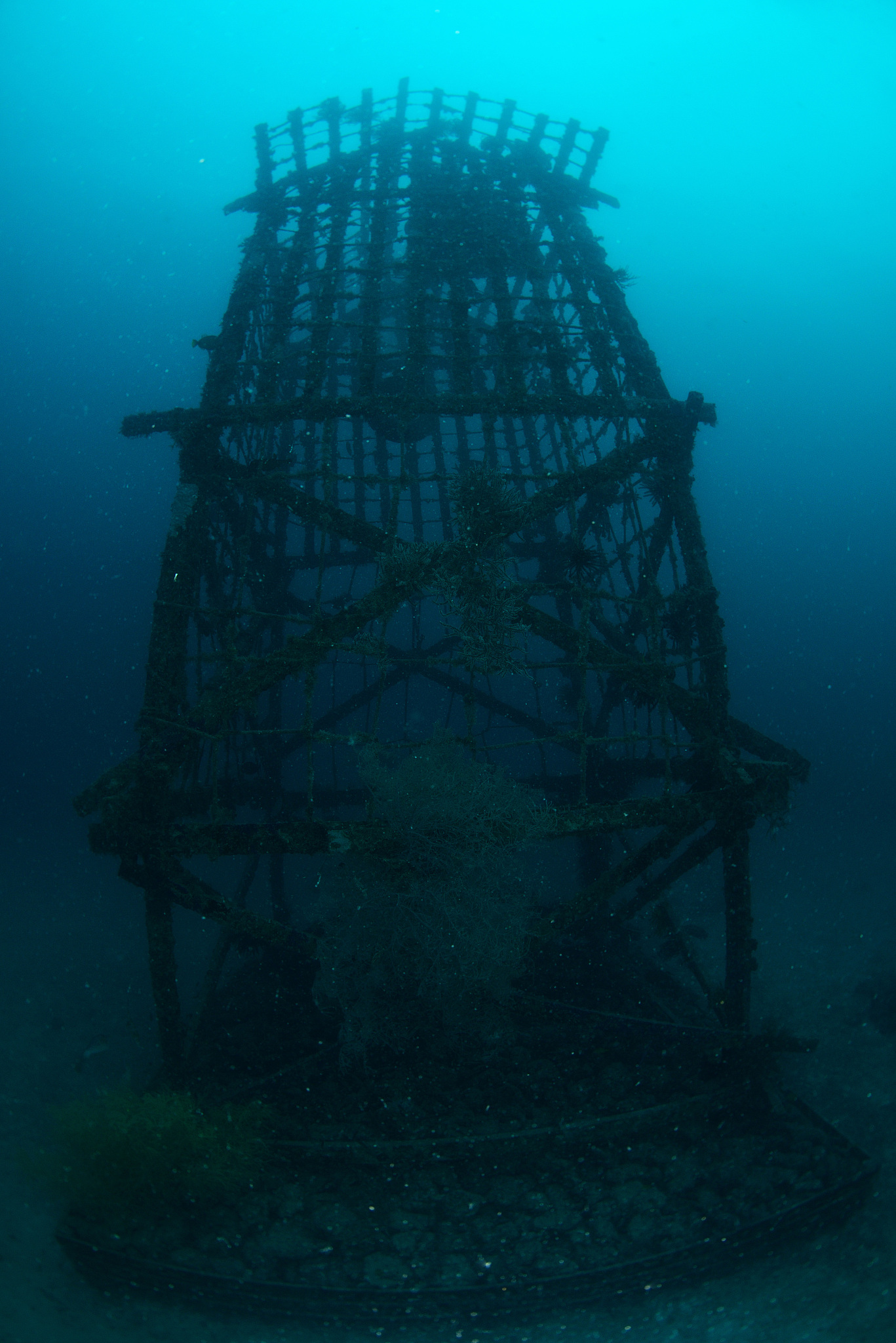artificial reef. taken in mabul, borneo, malaysia.