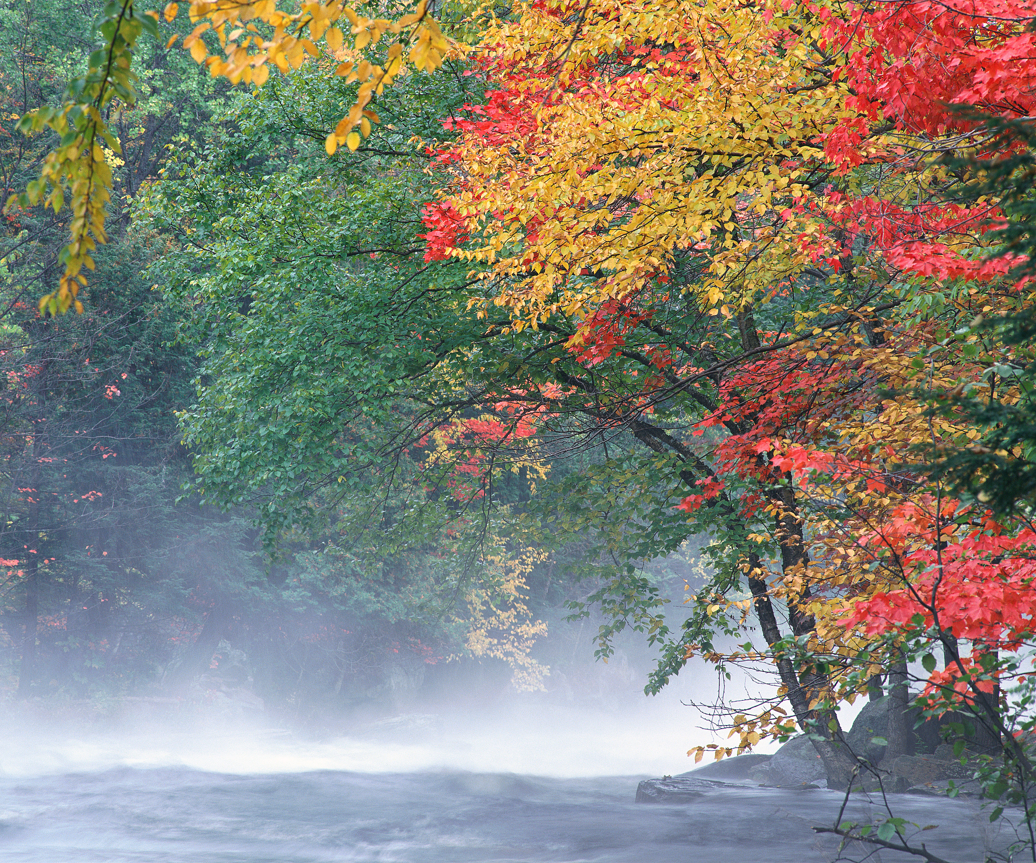 这山水真漂亮风吹的红叶小水哗哗流用这些给我做一首诗