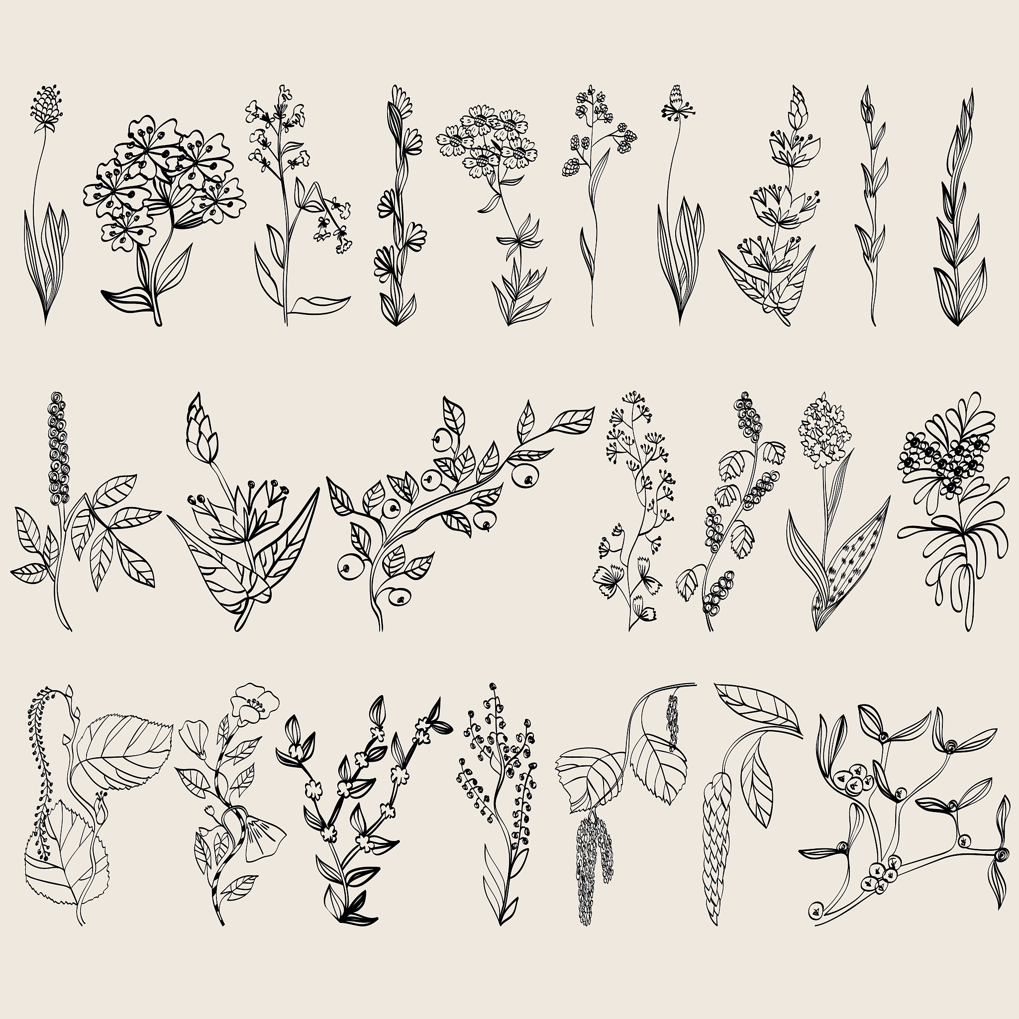 共生，寄生，生命容器：艺术作品命名灵感