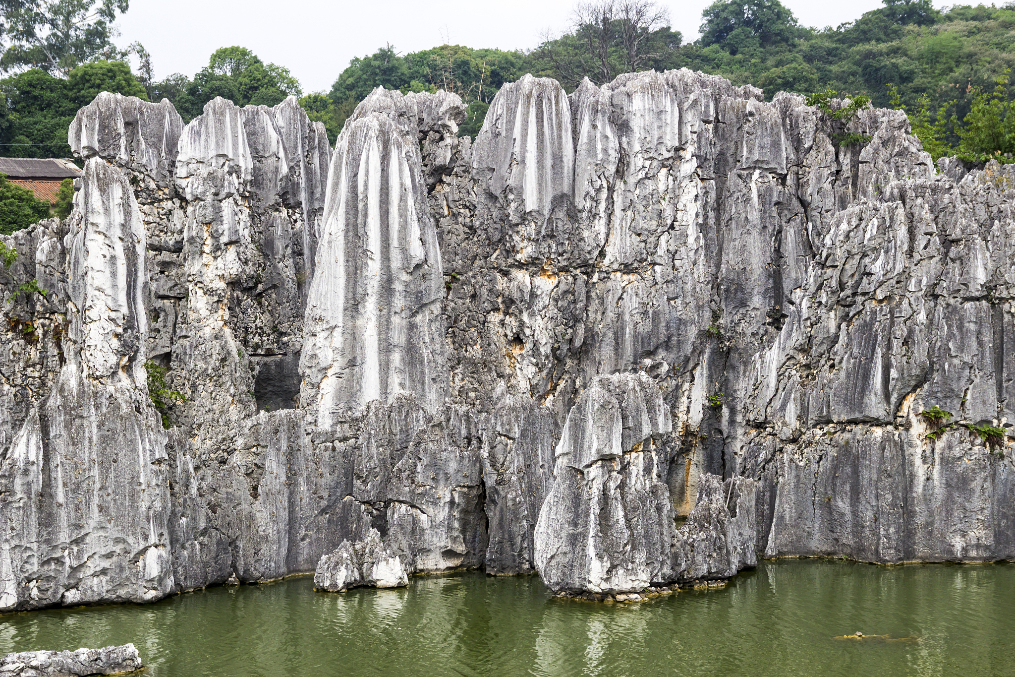 云南旅游职业学院助产专业怎么样？ - 专业介绍及师资力量
