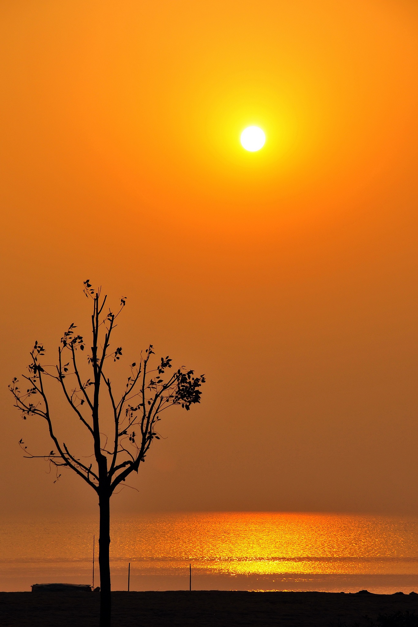 夕阳西下，古诗描绘日落美景