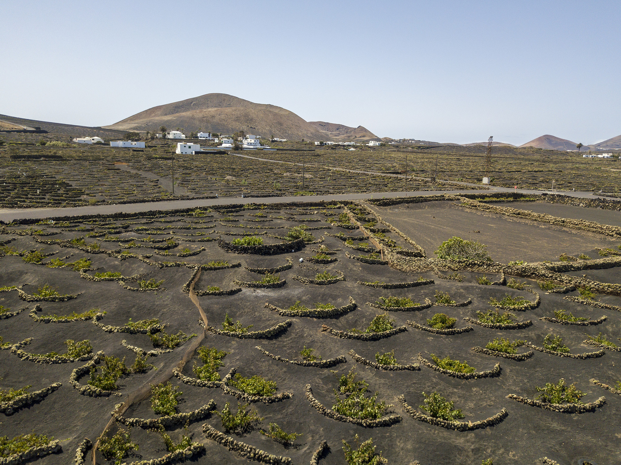 先将动词改成过去式然后润色：This study went to the emergence of mildly saline soils.