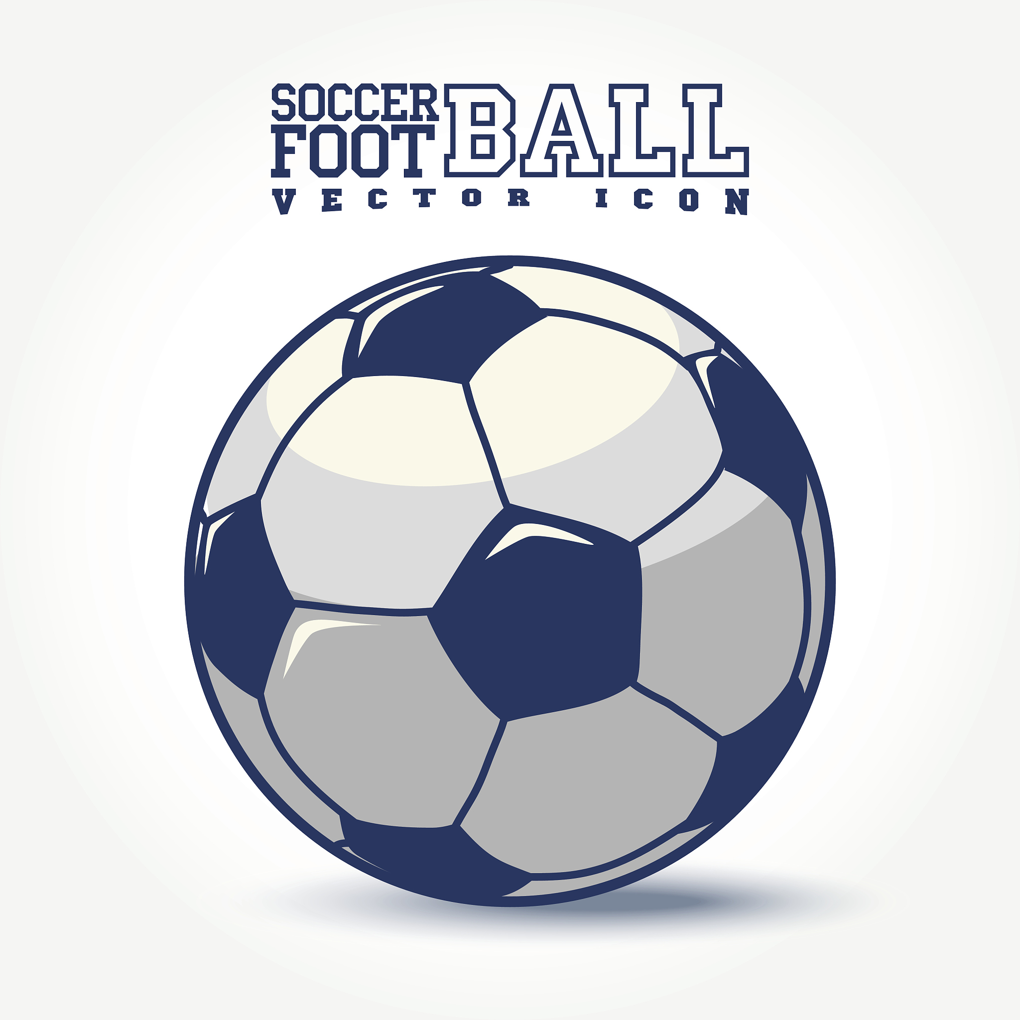 soccer ball icon