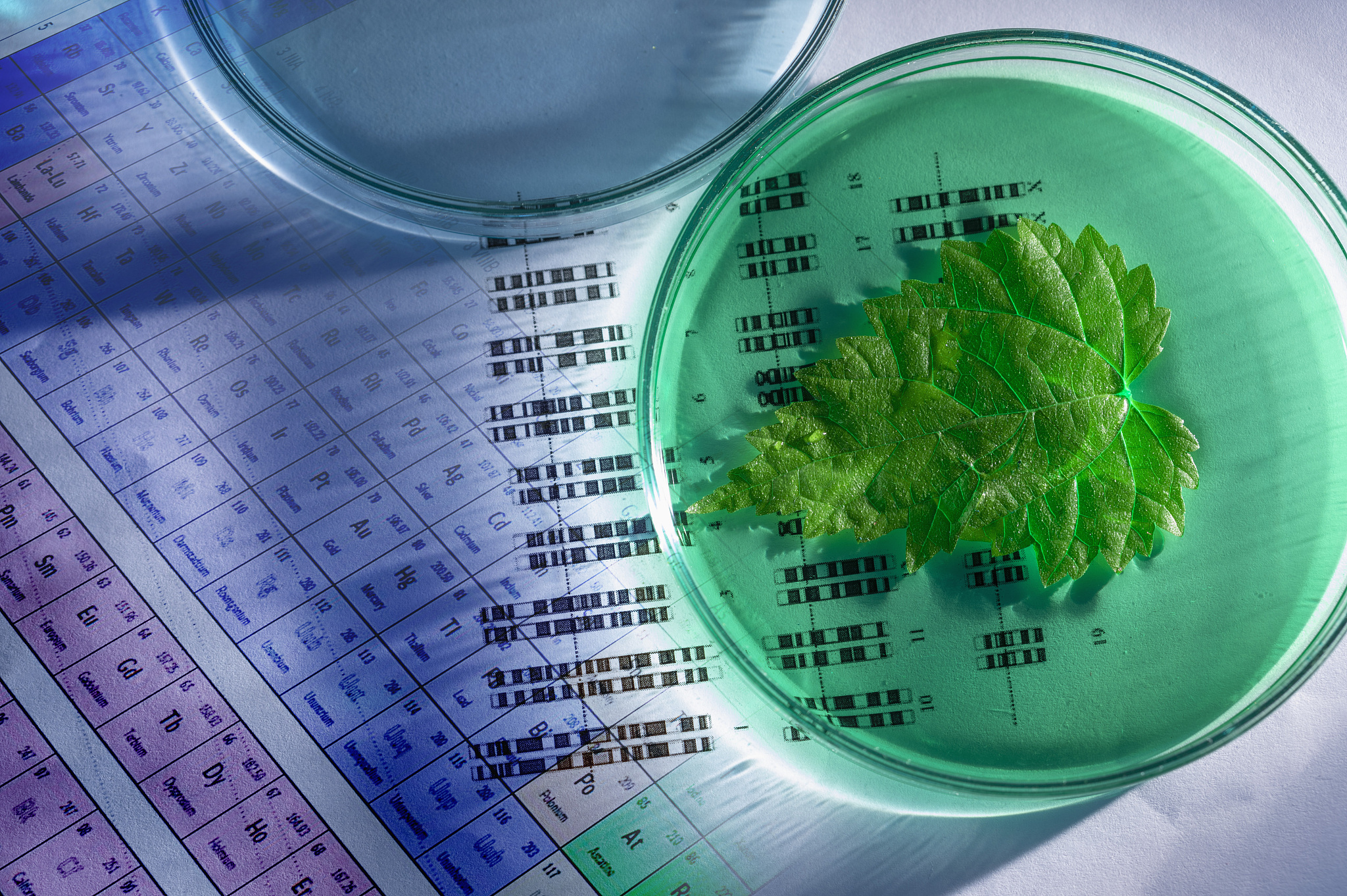 微生物培养基的组成成分：全方位解析