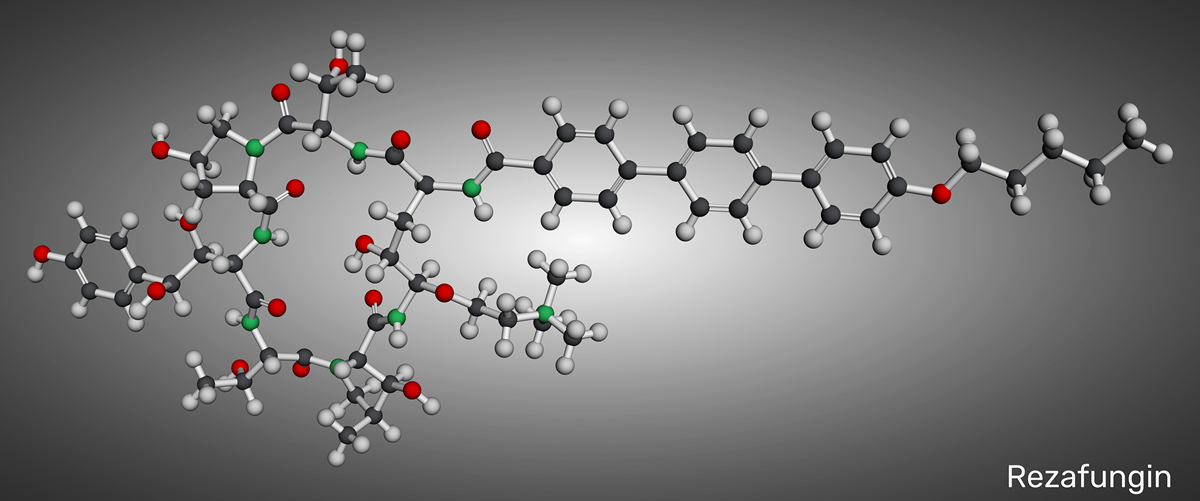 What is the meaning of increasement of 1-3-beta-D glucan