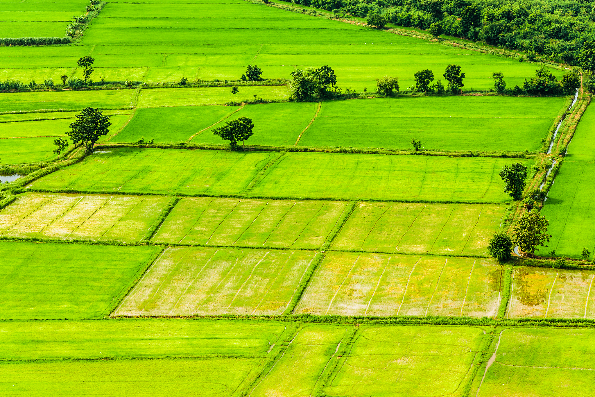 乡村美景：田园风光，美丽乡村