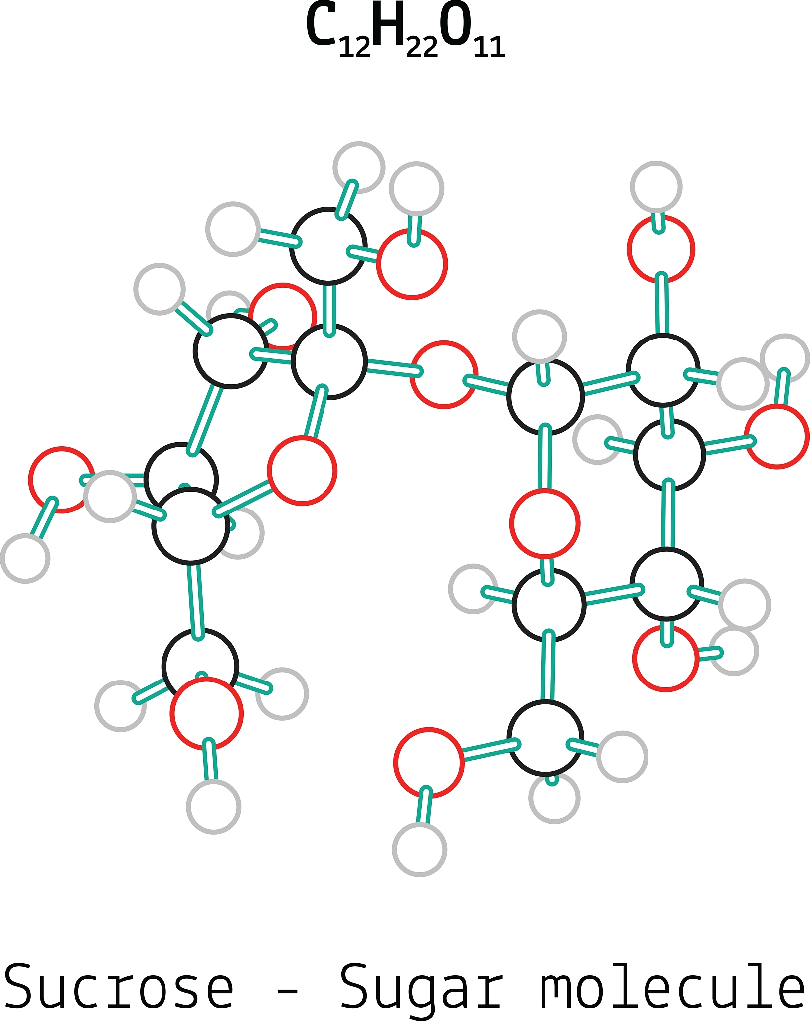 Rosetta酶设计中-unboundrot选项详解：优化计算效率的关键
