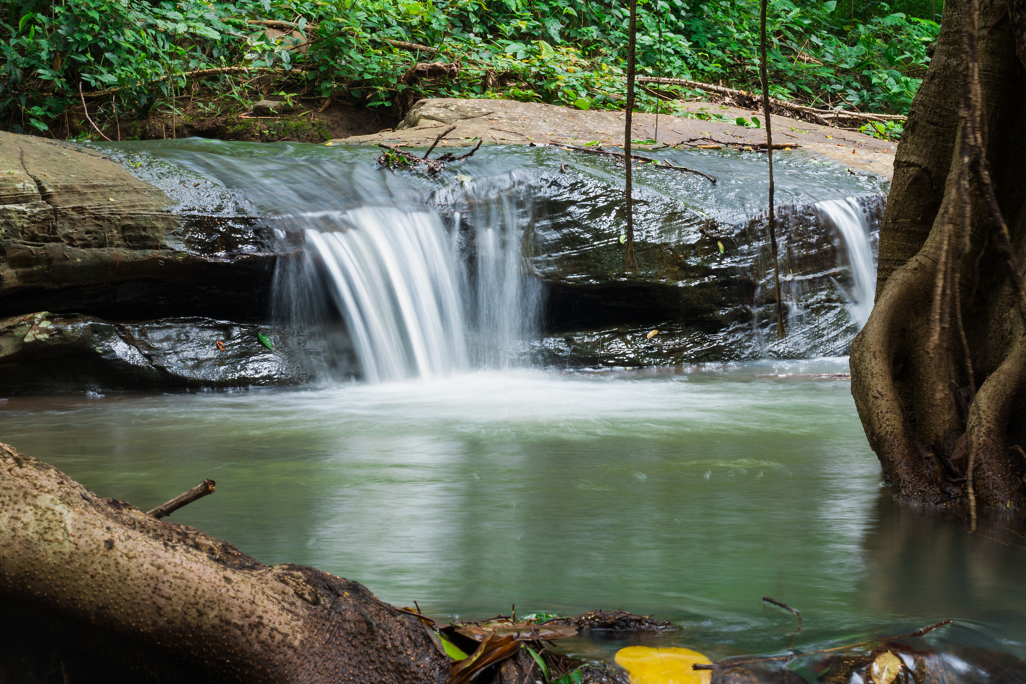 waterfalls flowing from the forest in morning