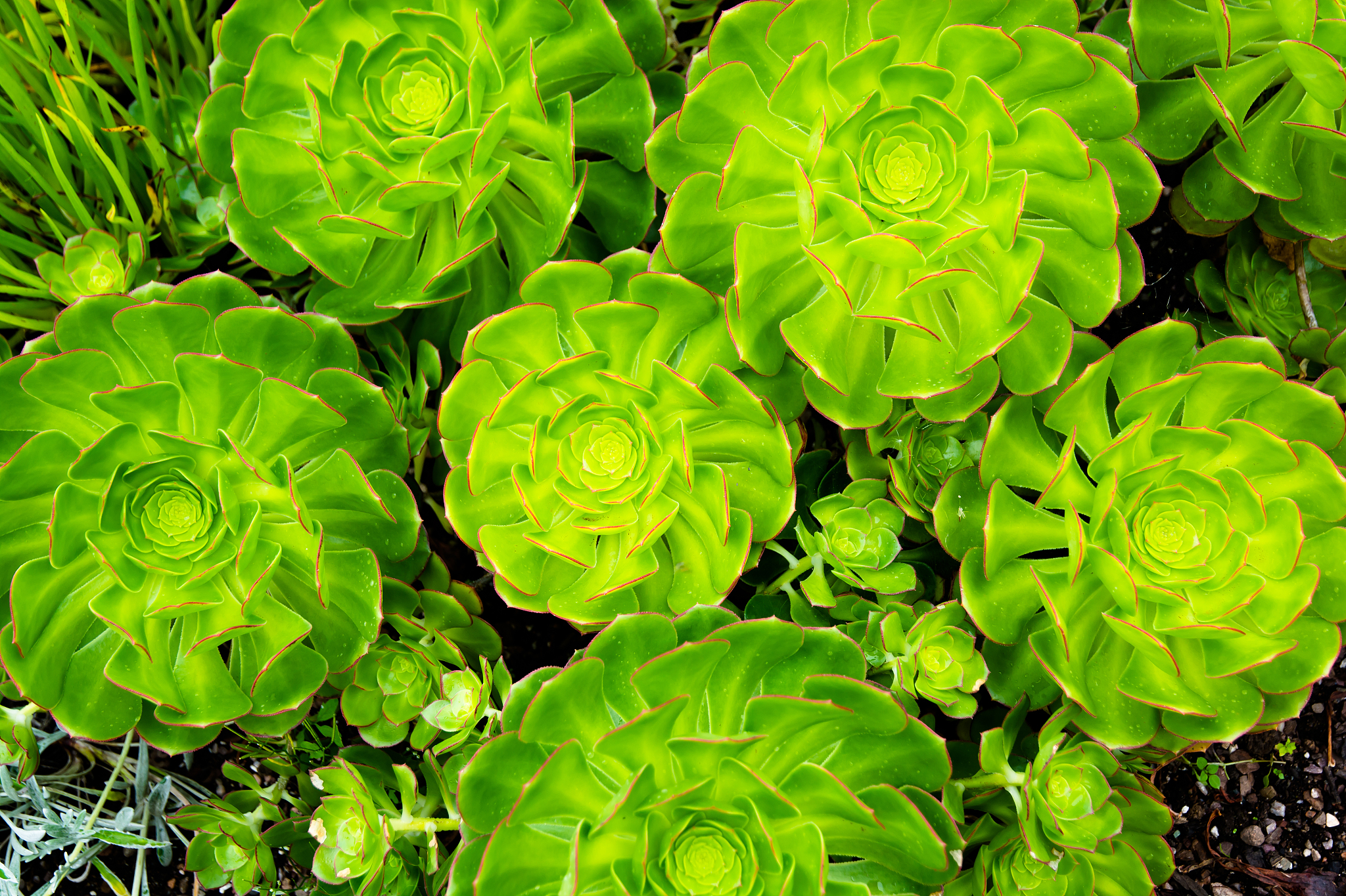 解释下这代码ififelse if