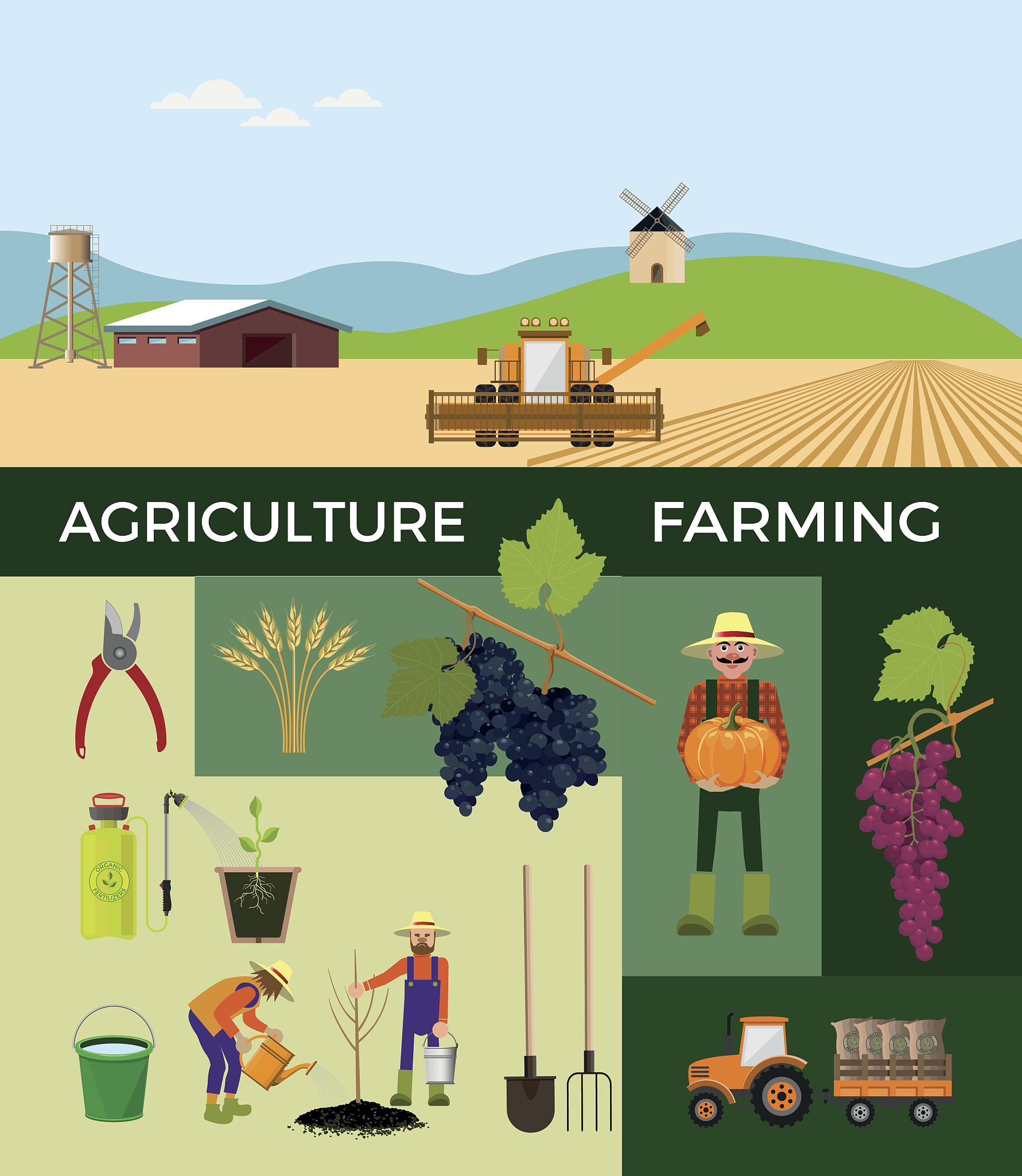 Planting Density, Soil Quality, and Lodging Risk: Implications for Farmers' Decisions in China
