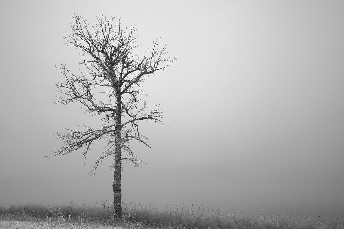 我需要你描绘一个极度悲伤的画面不要有人物出现