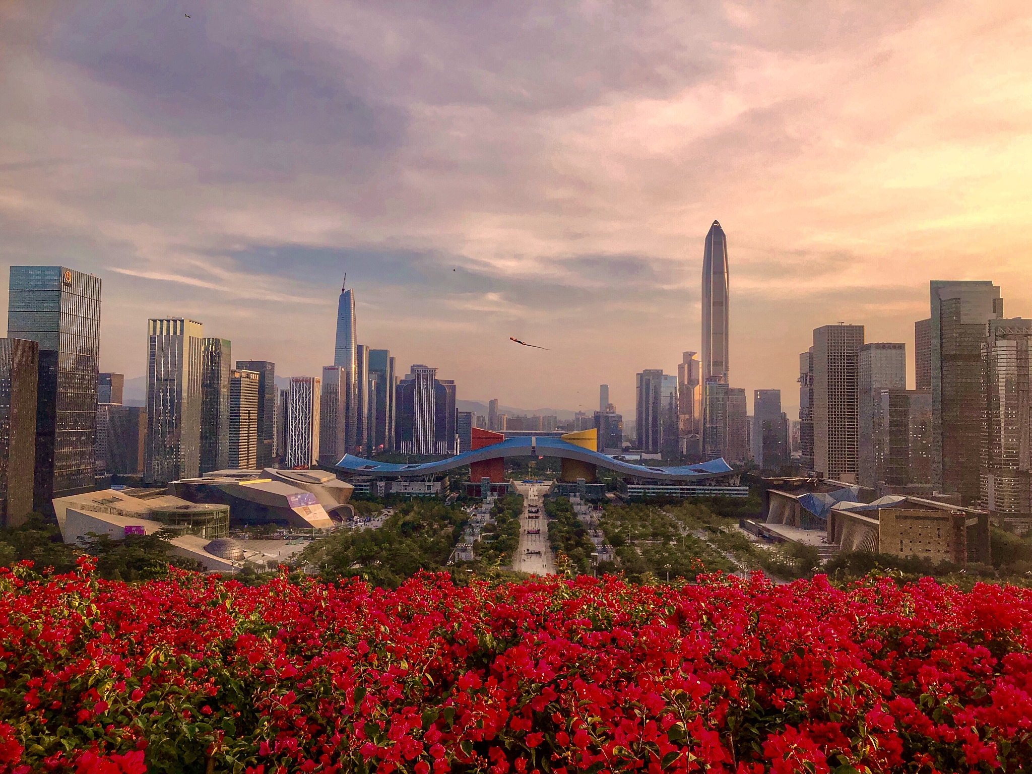 深圳：中国特色社会主义先行示范区兴起之路