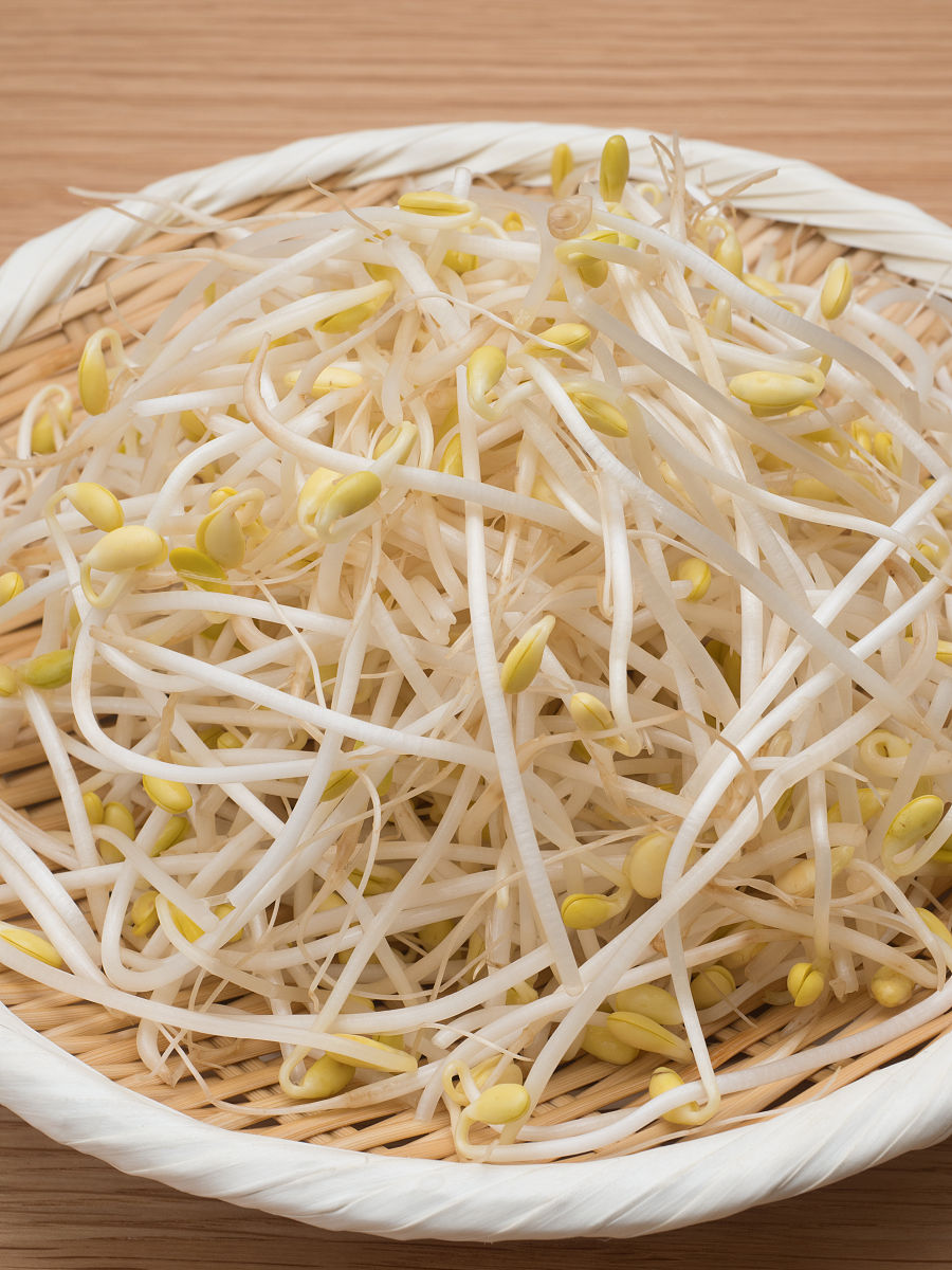 凉拌黄豆芽制作教案 凉拌黄豆芽制作教案
