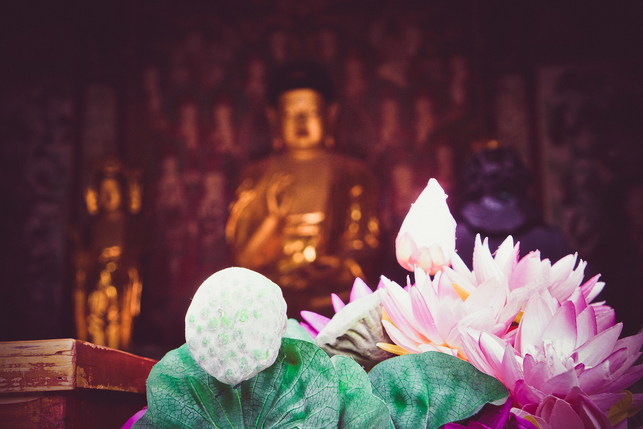 禅宗故事：佛主拿起花圈的深层含义