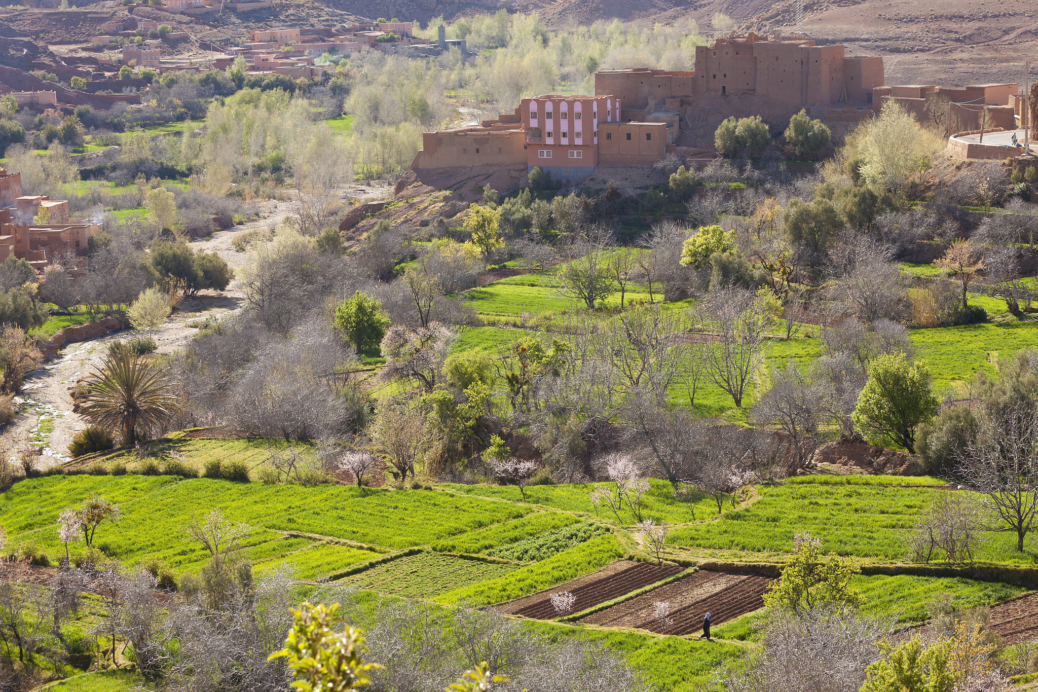 曲靖农校2019年中考五年制专科热门招生专业介绍