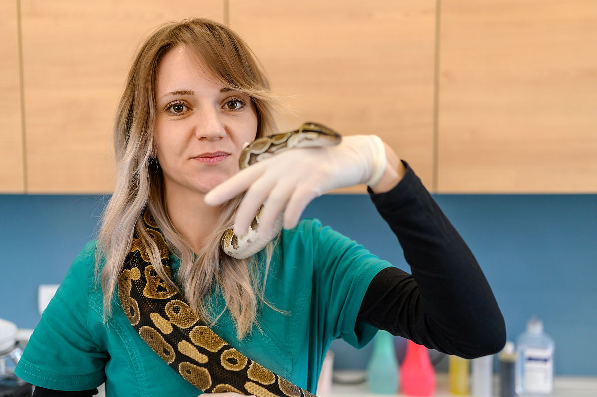 重庆市农业学校畜牧兽医专业：发展前景分析