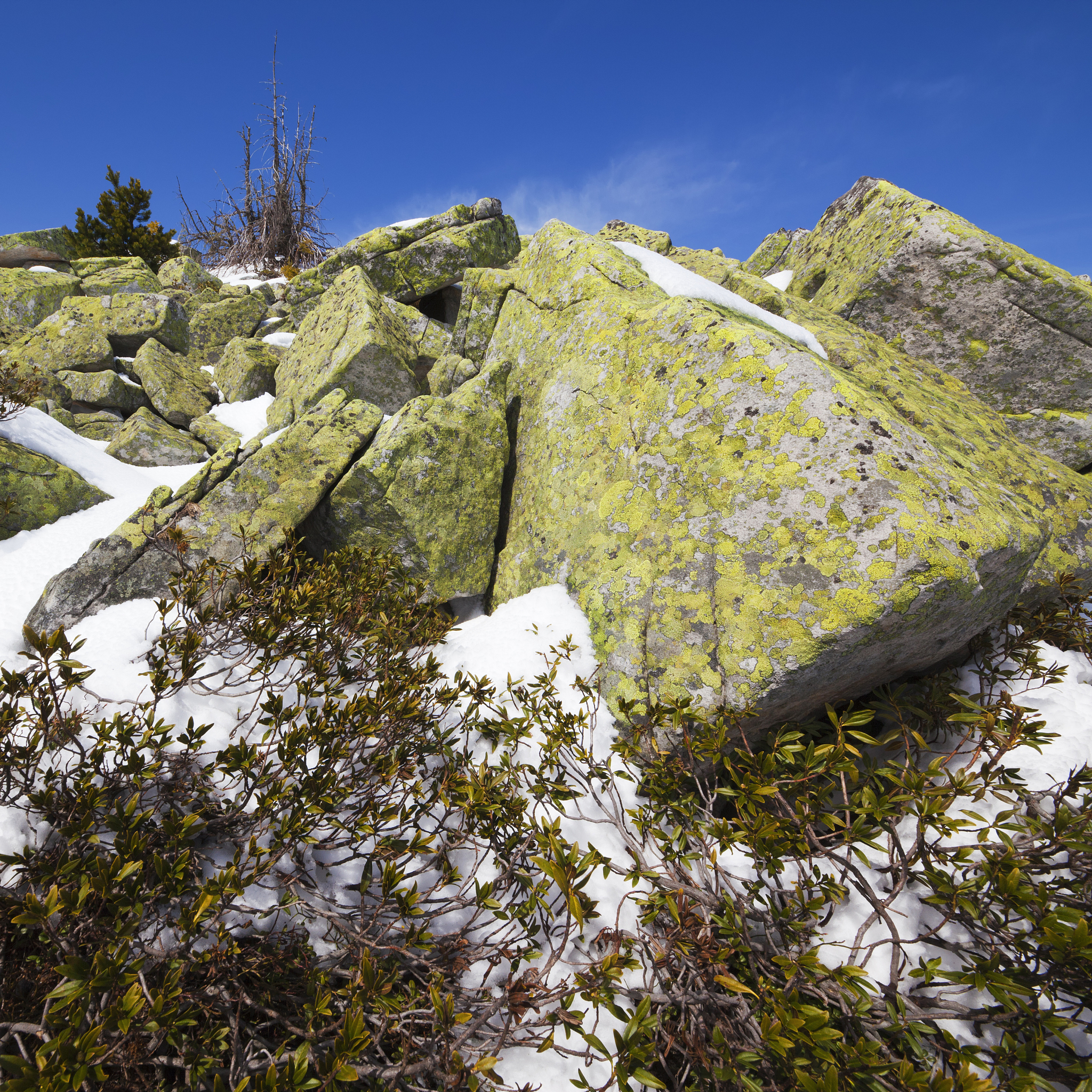 Eastern Oregon Mountain Life: Weed Pulling, Catching Up, and Leg Cramps