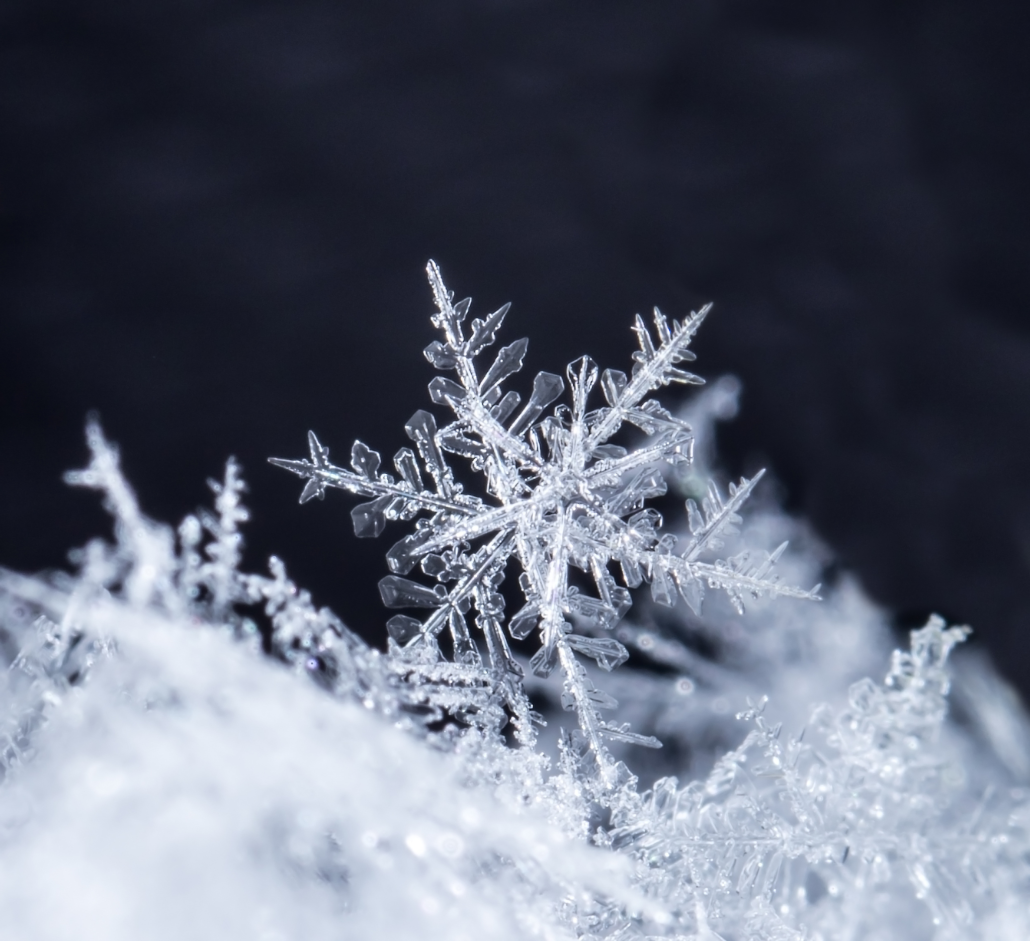 宛若霜雪般洁白，细腻如霜上雪的吻