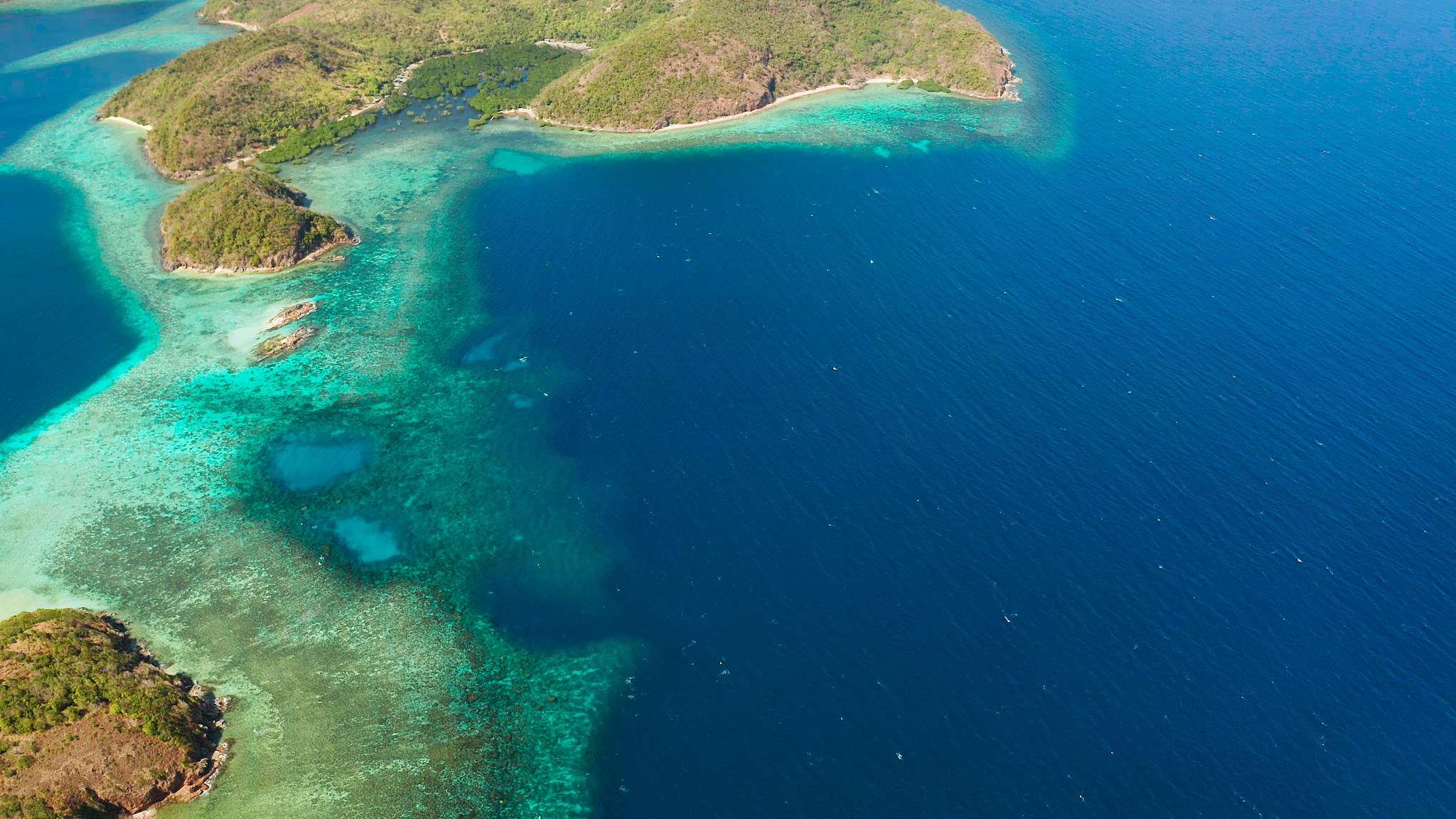 贝省回答加拓展。