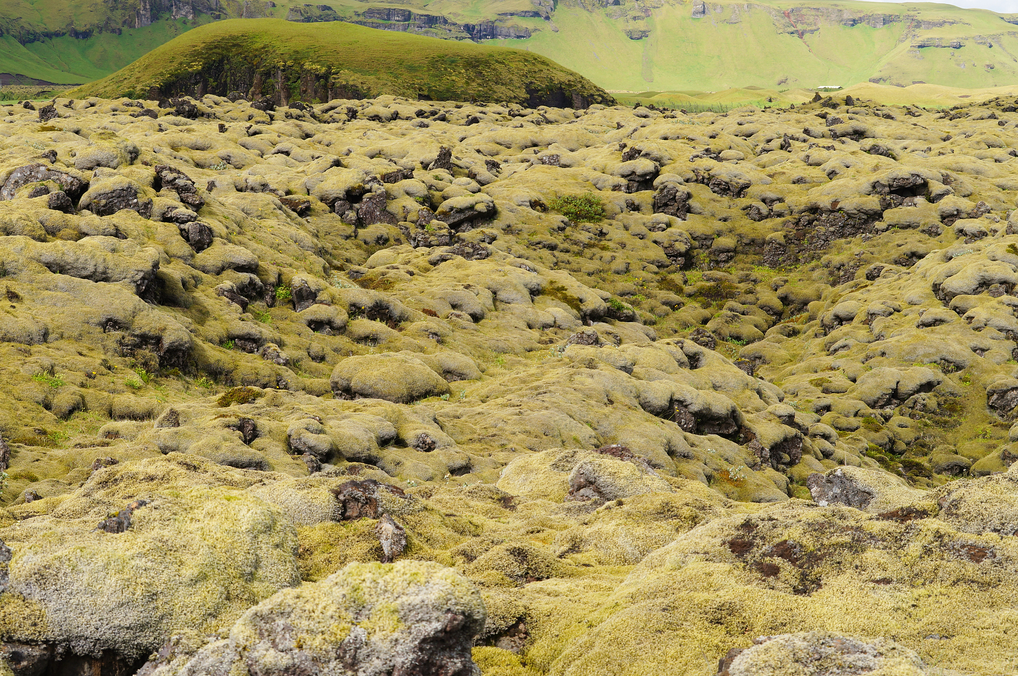 请帮忙检测下这句话的语法错误和语序错误：因此缺乏规模较小且重复燃烧的普通苔原火灾观测数据极大地限制了我们对苔原生态系统有机土壤中野火长期影响的科学认识。