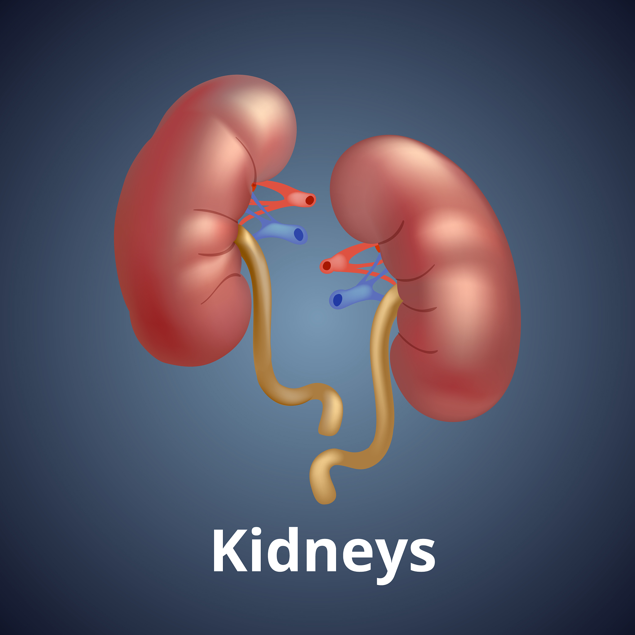 膜性肾病蛋白尿水平测试题：检验你的肾脏健康知识！