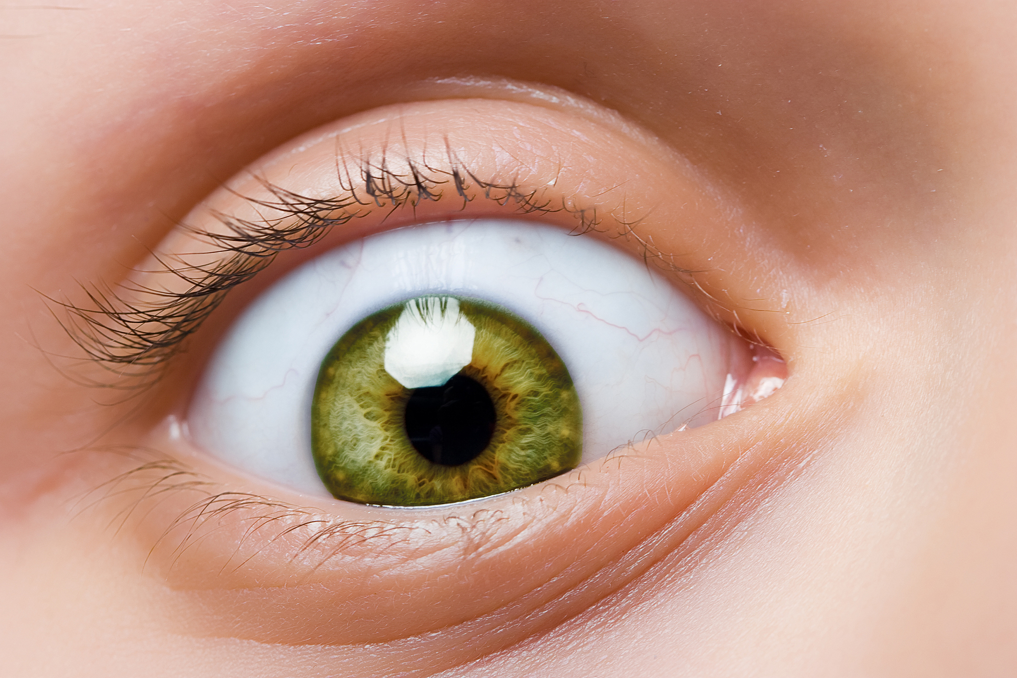 eye