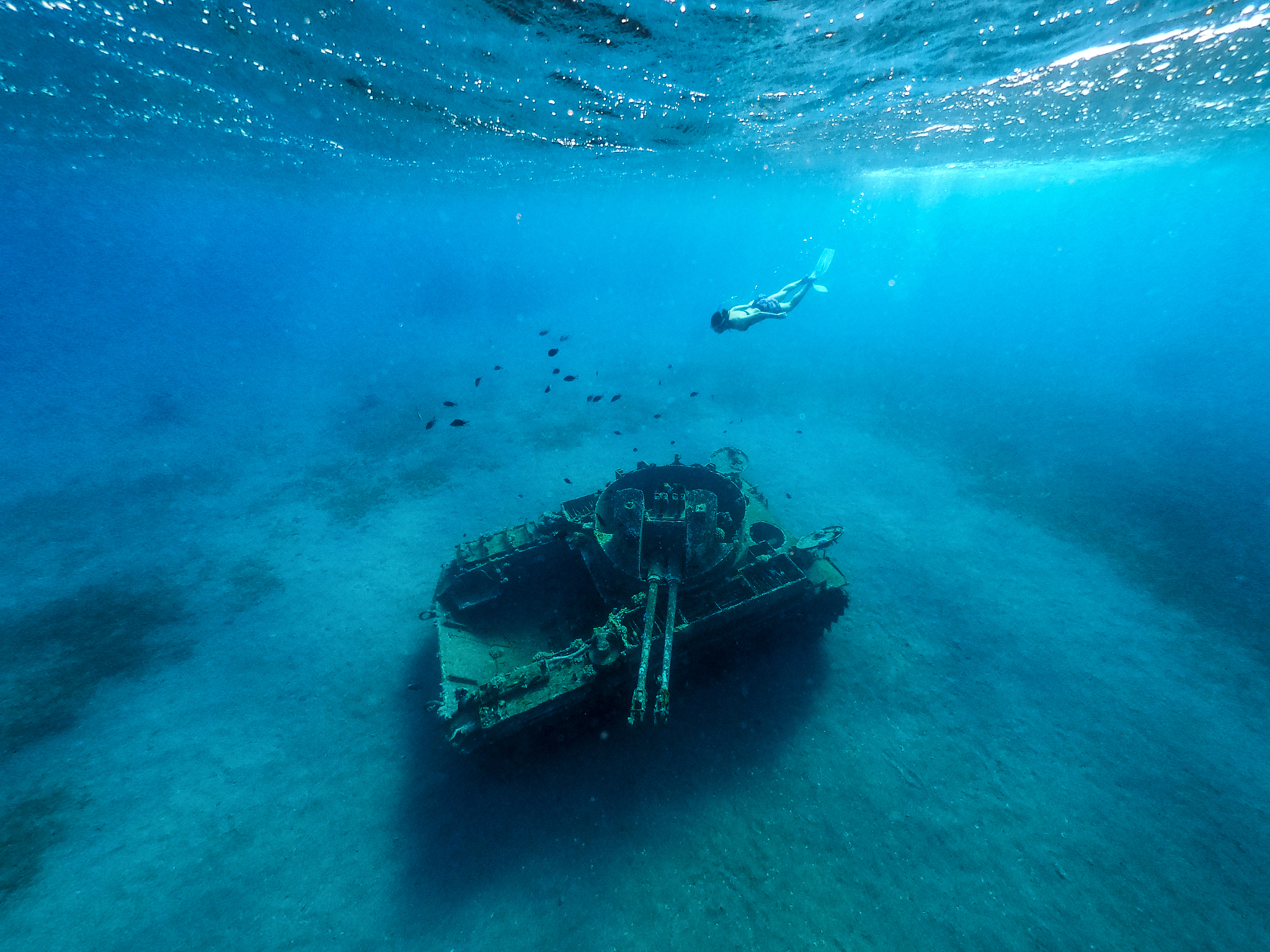 aqaba dive (the tank), jordan
