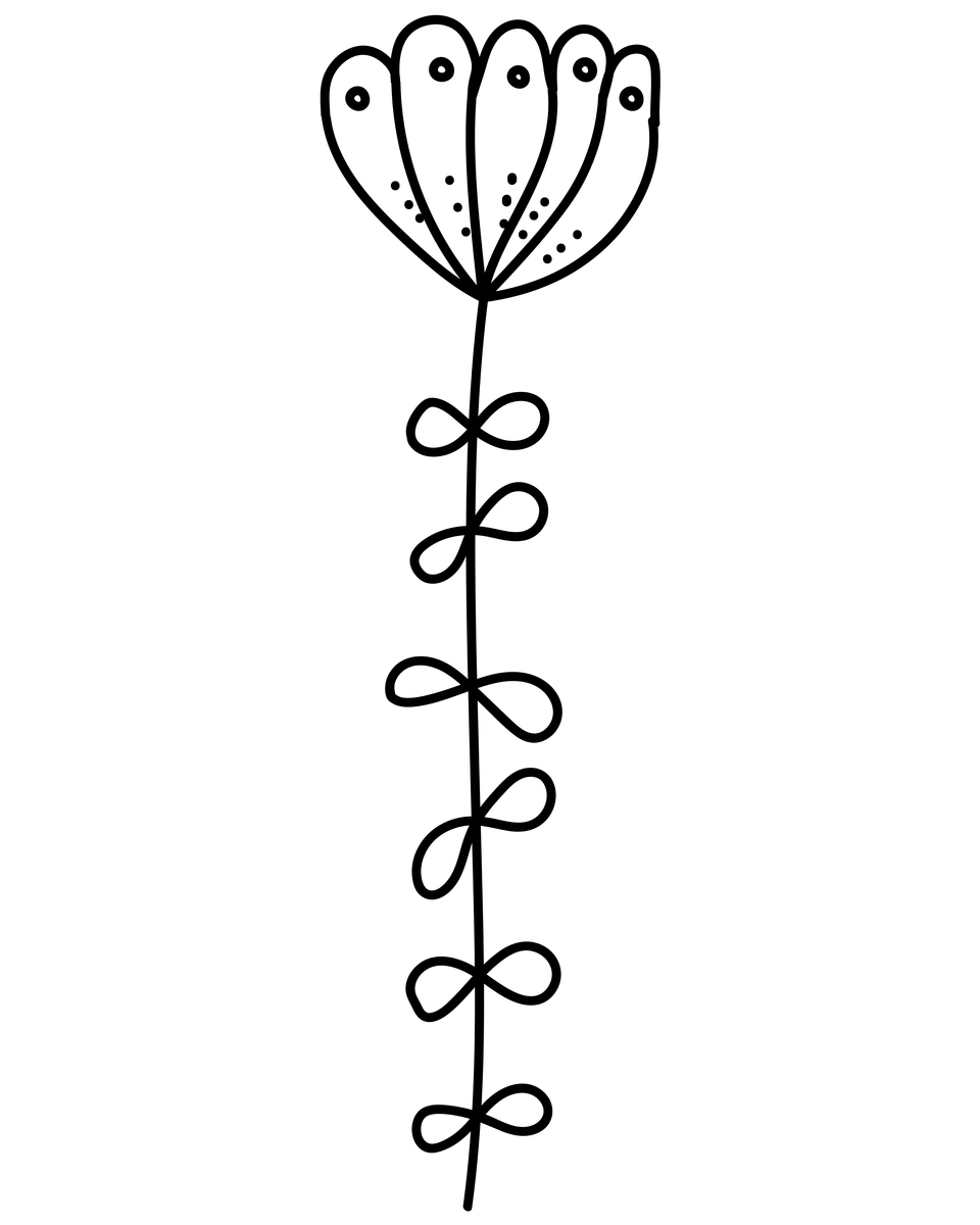 用落花流水作一首诗