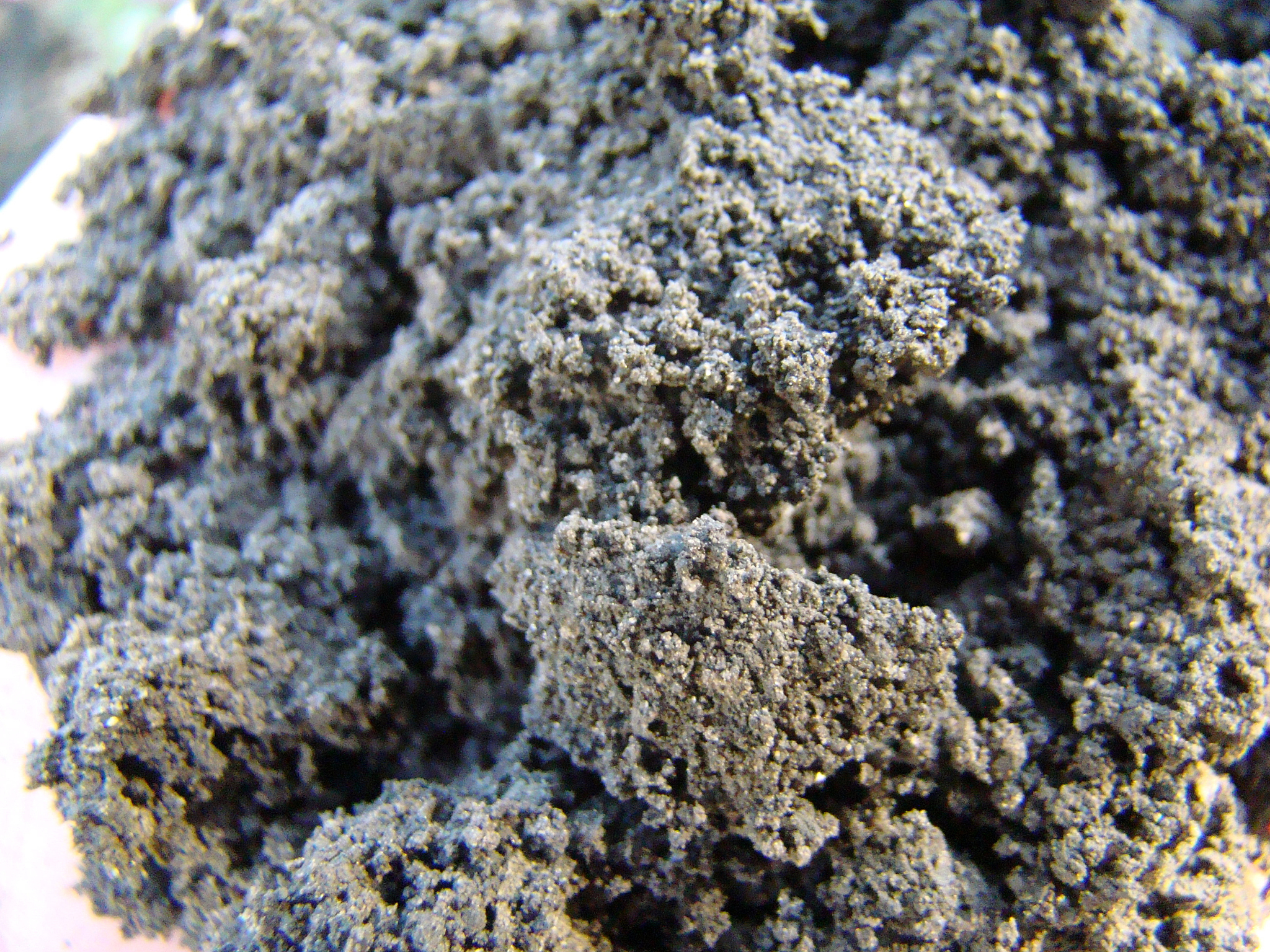 电催化氧化对黄铜矿和辉钼矿表面润湿性影响研究