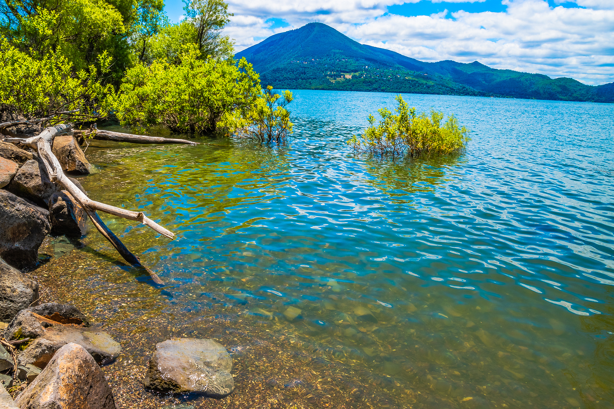 How is this paragraph written as a social media post Is there anything need to edit 𝑻𝒉𝒆 𝑾𝒆𝒊𝒎𝒊𝒏𝒈 𝑳𝒂𝒌𝒆 𝒊𝒔 𝒂𝒏 𝒐𝒄𝒆𝒂𝒏🌊 Ever wonder what its like to be a fish in its depths Throu