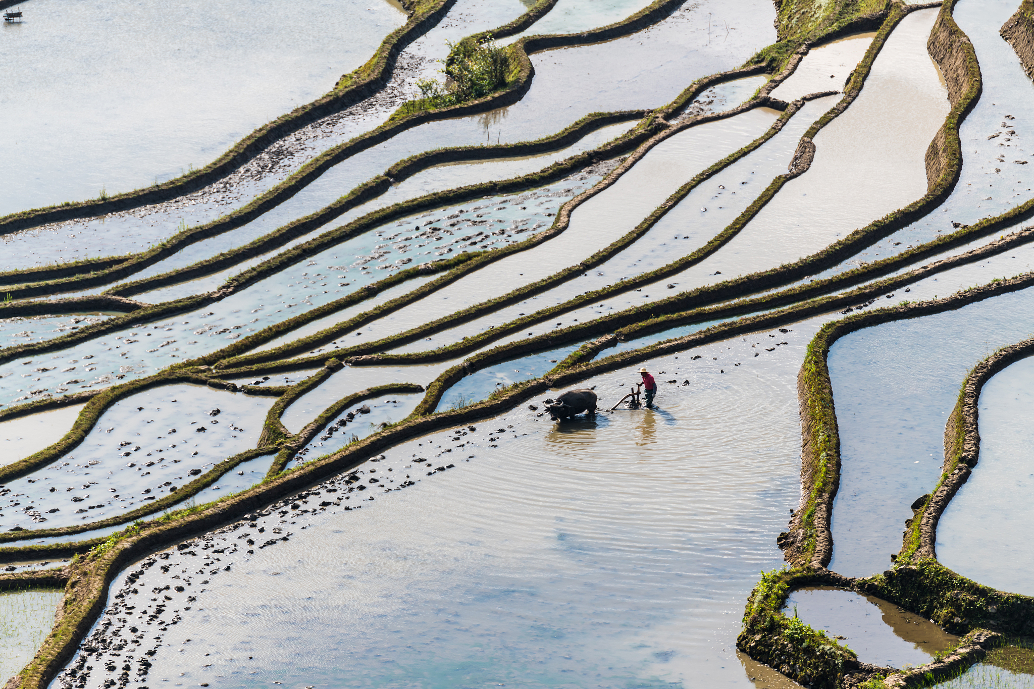 云南农业职业技术学院五年制大专怎么样好不好