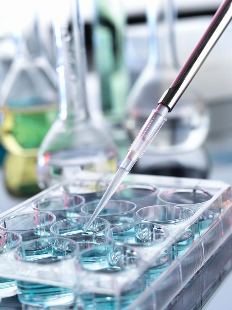 推点油管上讲药理学的博主